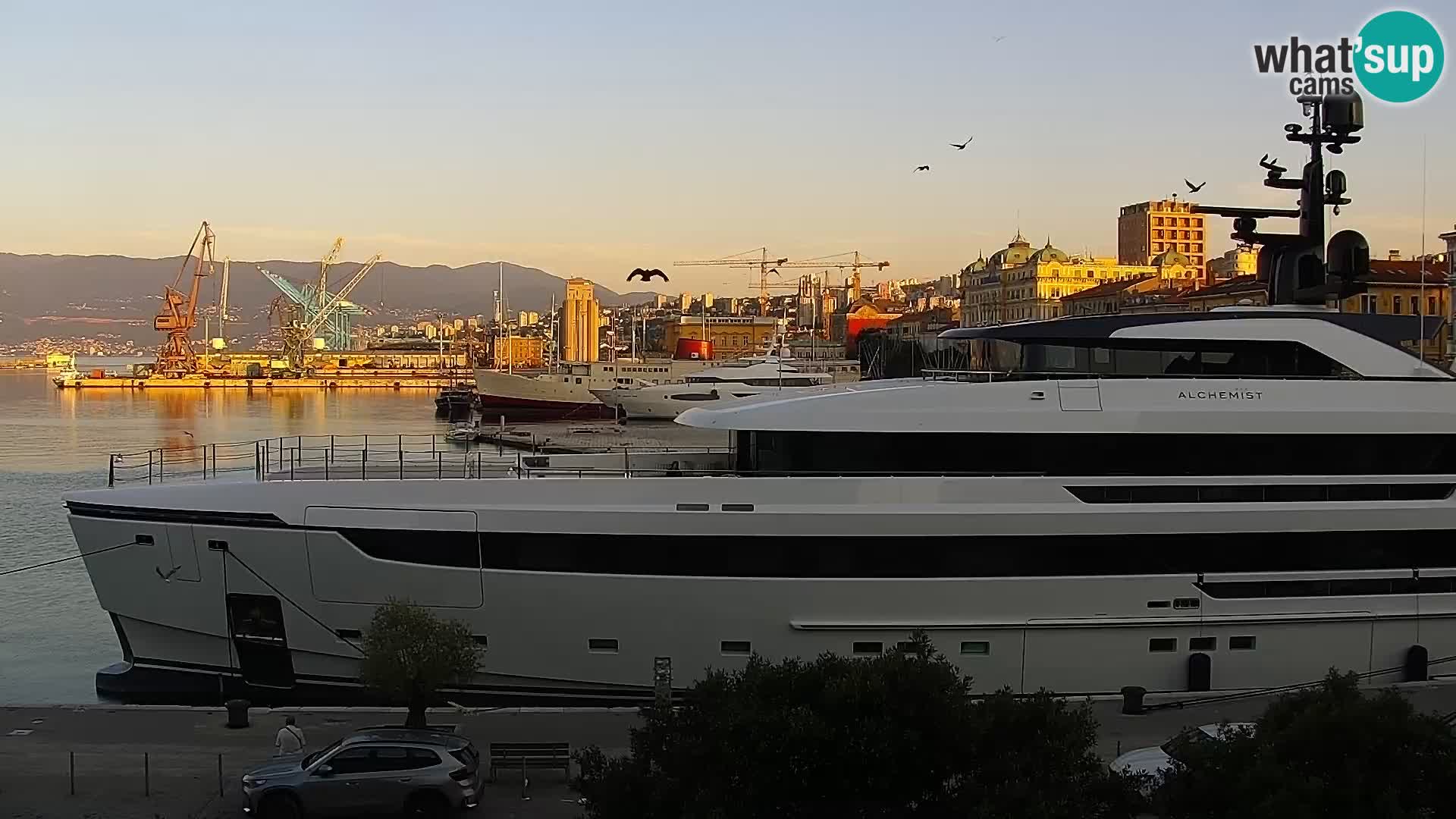 La Riva et Marina à Rijeka – Live Webcam Croatie
