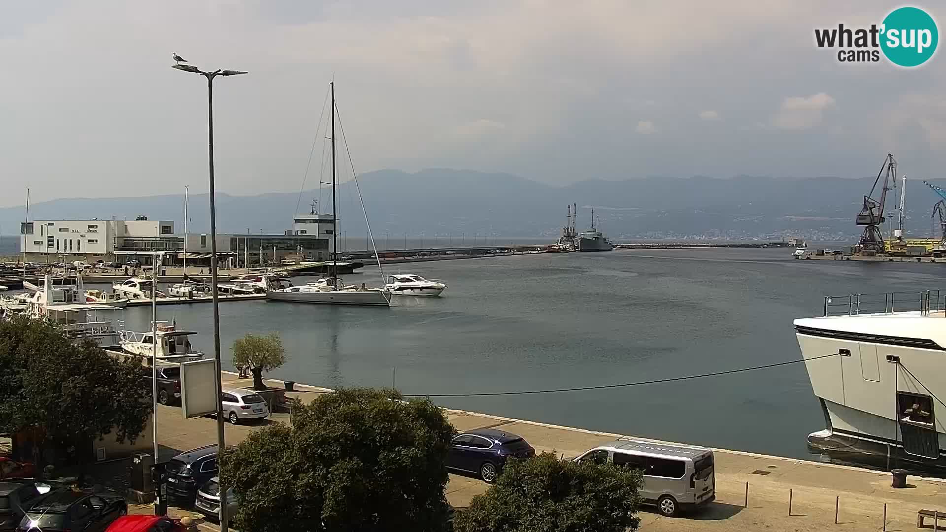 Riva in Marina v Reki – Spletna kamera v živo Hrvaška
