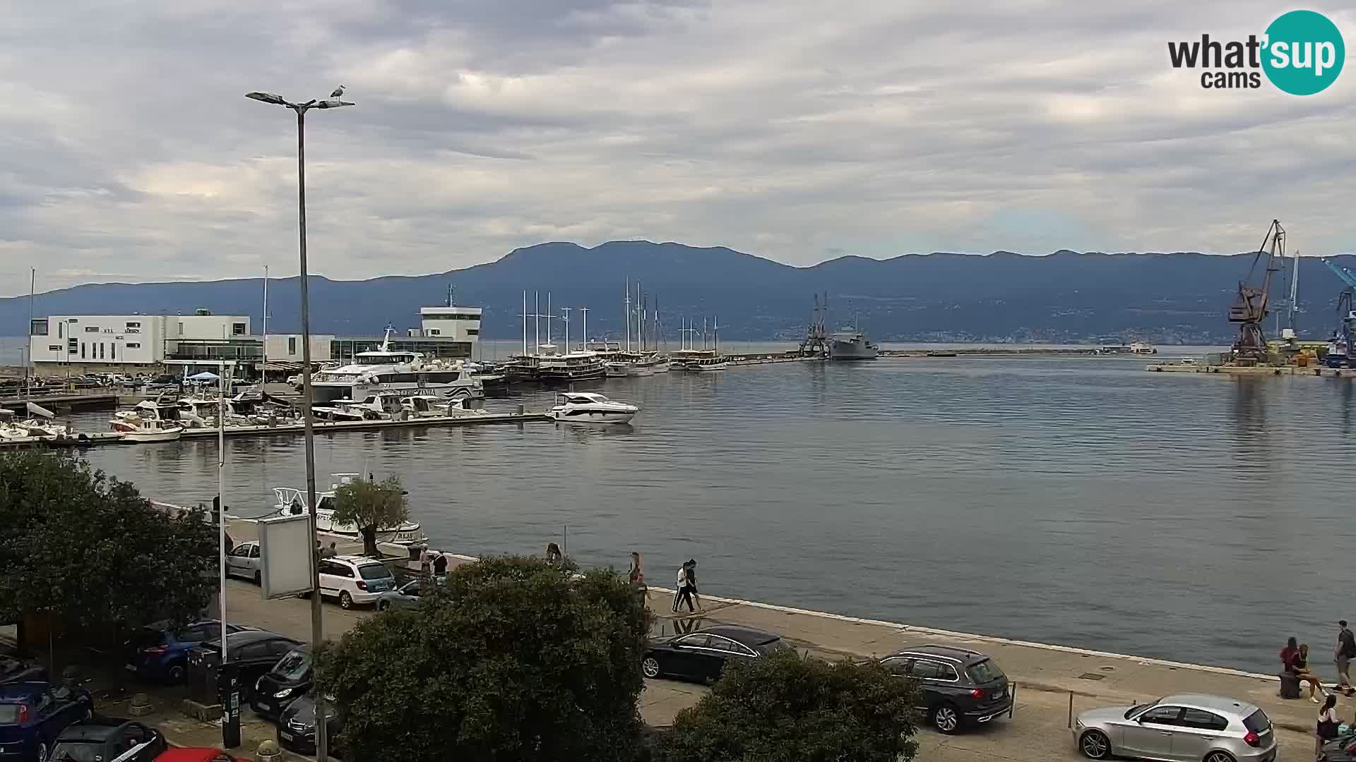 The Riva and Marina in Rijeka  – Live Webcam Croatia