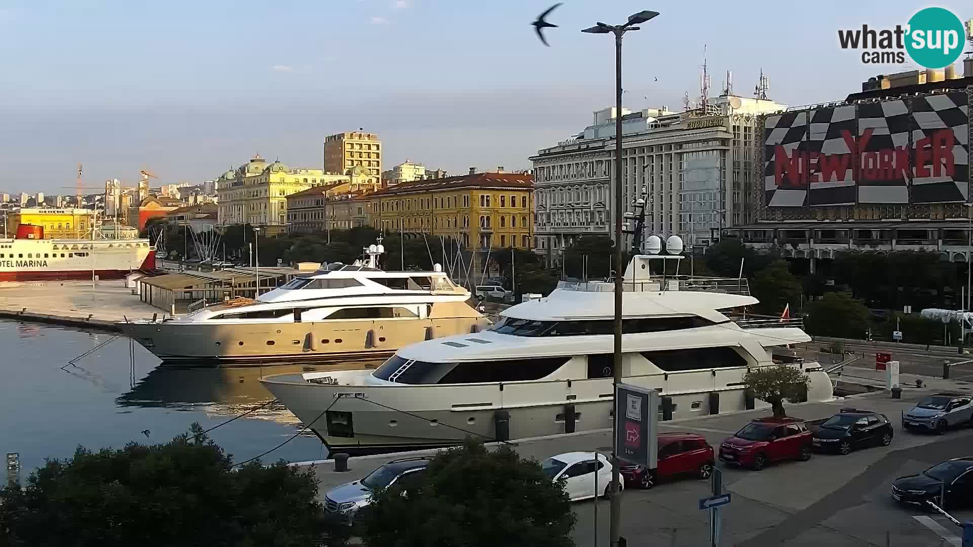 Die Riva und Marina in Rijeka – Live Webcam Kroatien