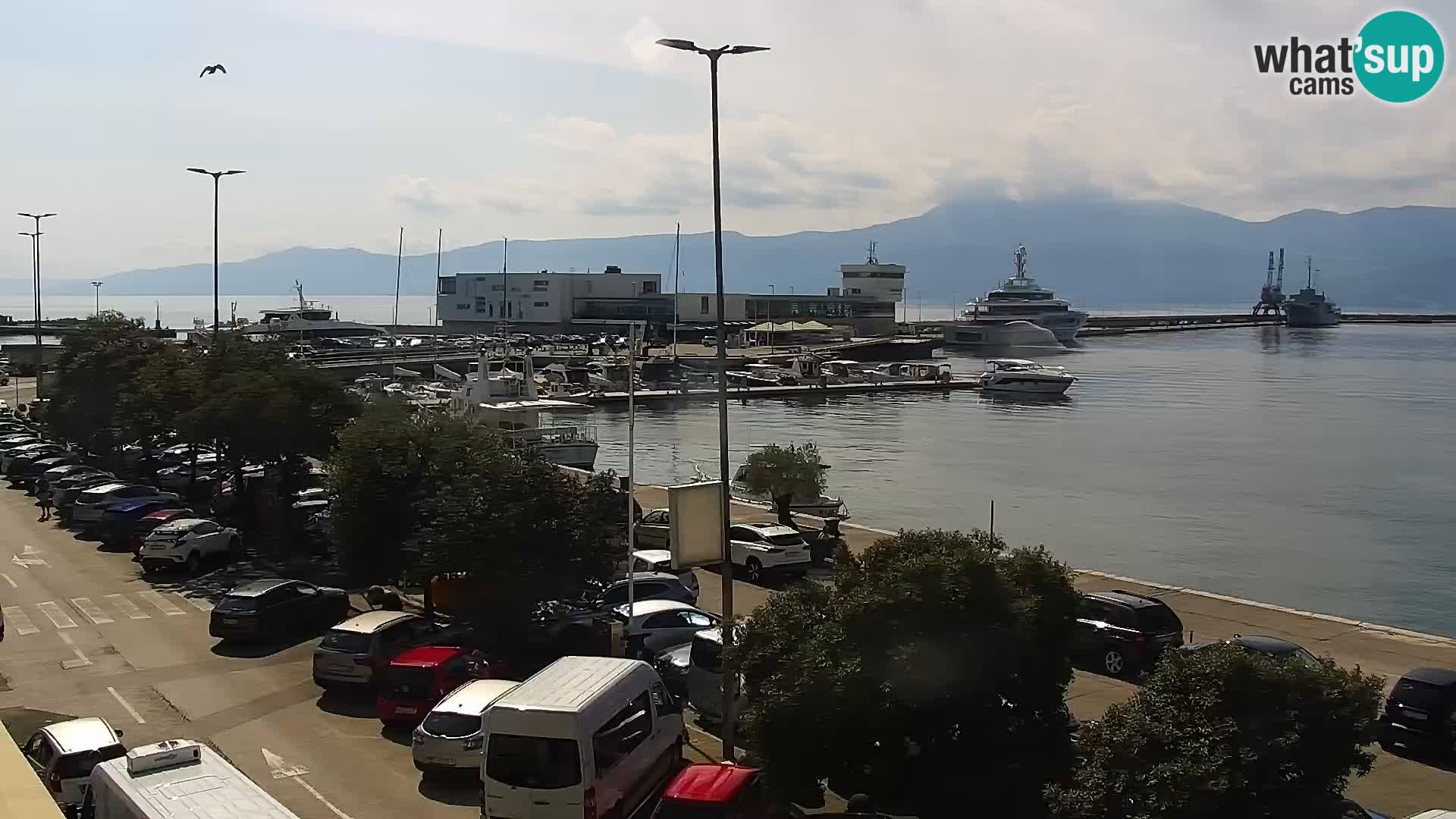 The Riva and Marina in Rijeka  – Live Webcam Croatia