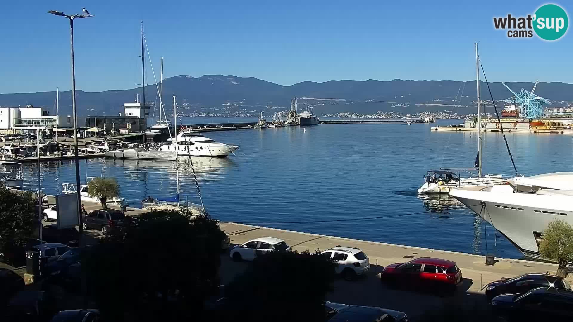 Riva in Marina v Reki – Spletna kamera v živo Hrvaška