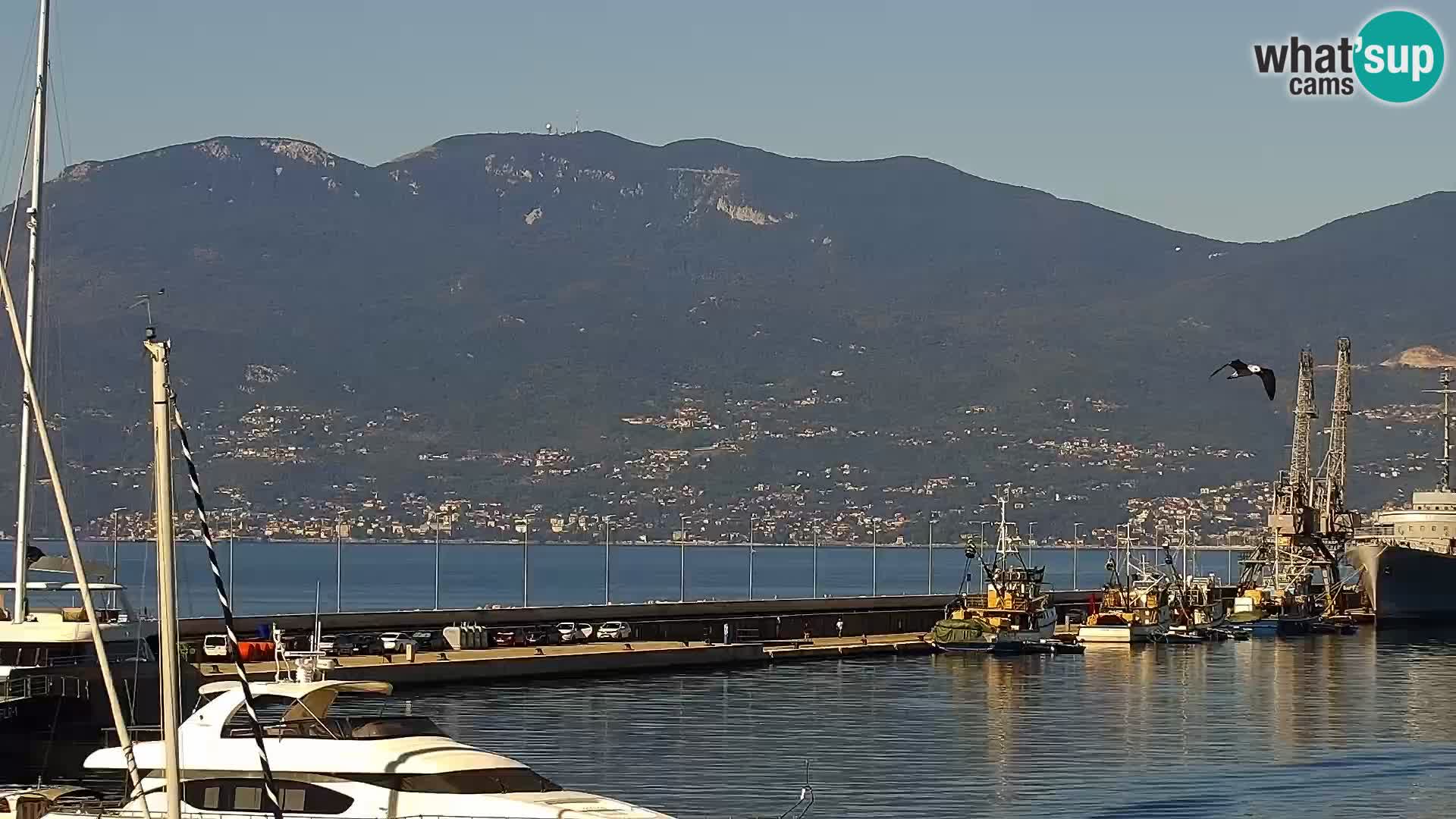 La Riva e la Marina a Rijeka (Fiume) – Live Webcam Croazia