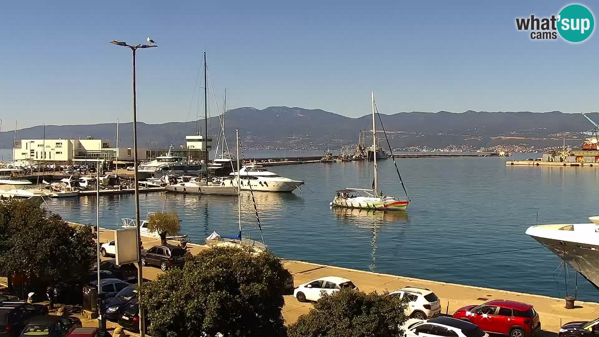 Riva i Marina u Rijeci – Web kamera uživo u Hrvatskoj