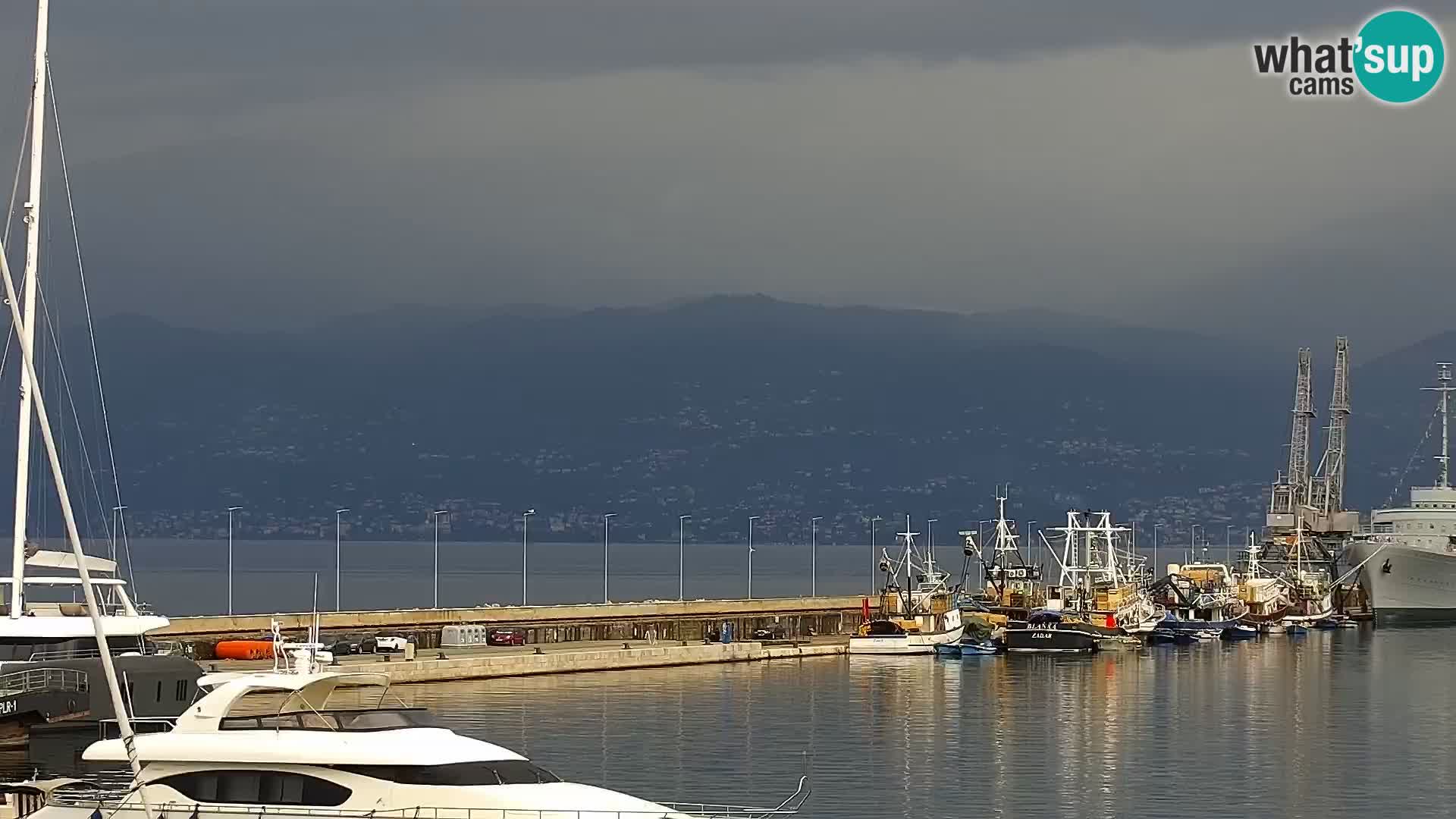 The Riva and Marina in Rijeka  – Live Webcam Croatia