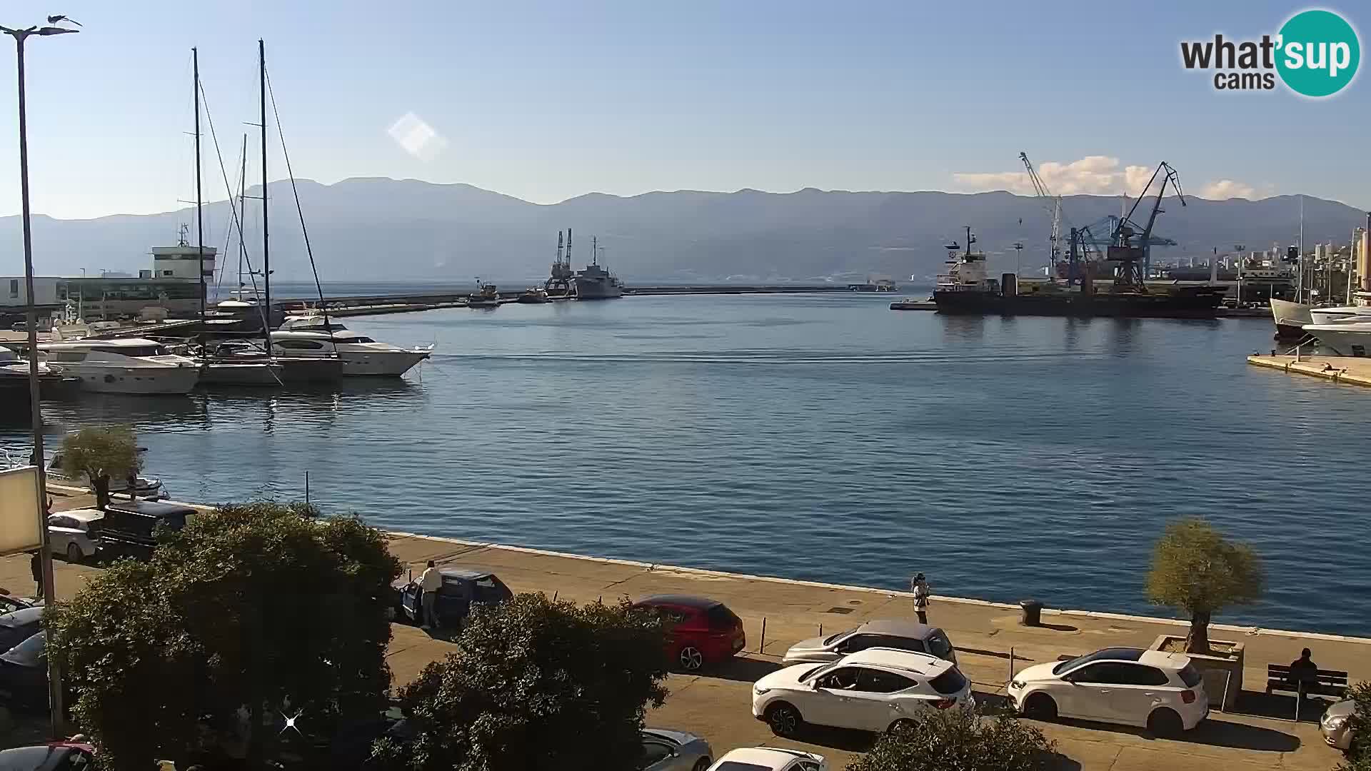 Riva i Marina u Rijeci – Web kamera uživo u Hrvatskoj