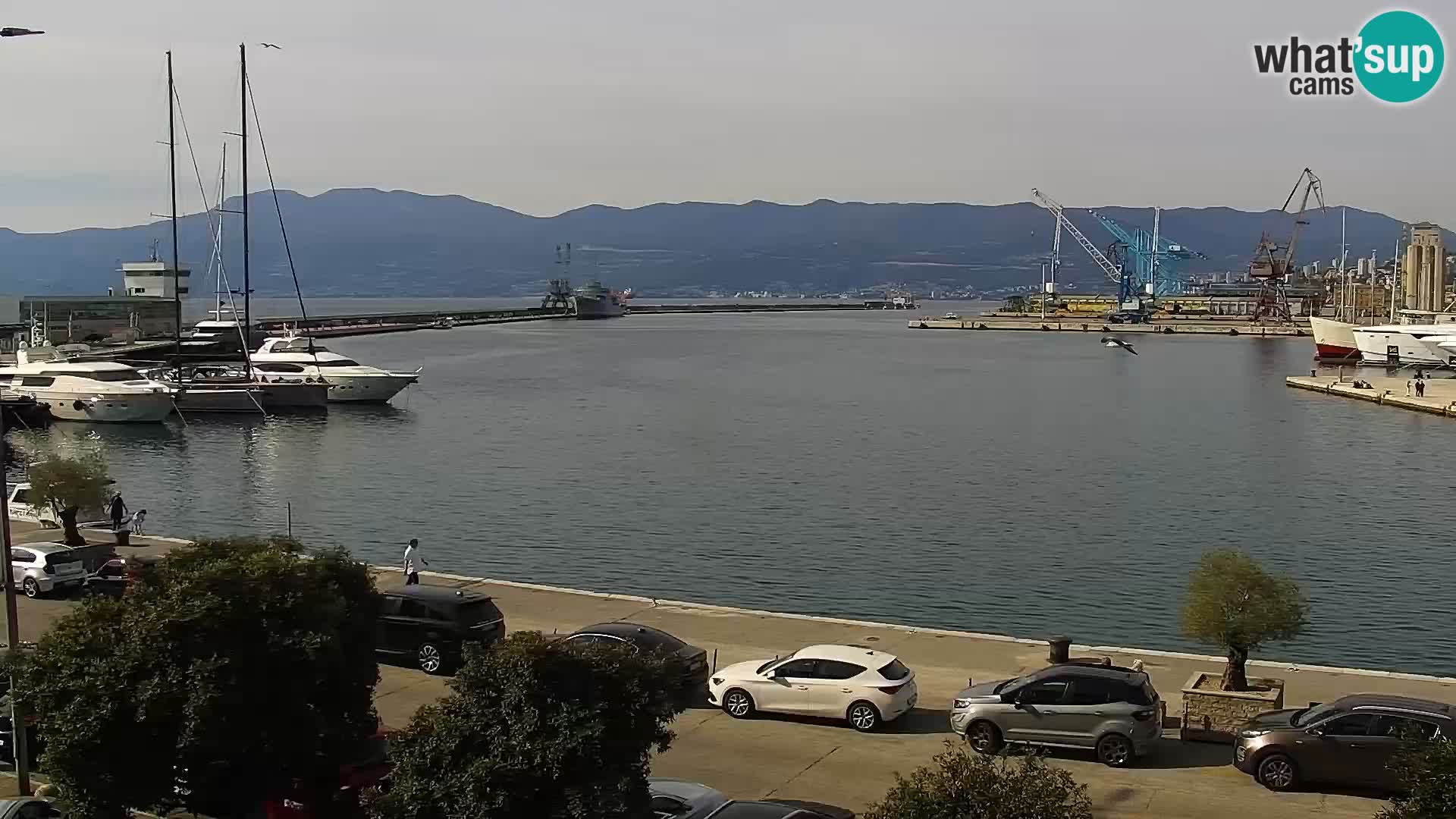 Riva in Marina v Reki – Spletna kamera v živo Hrvaška