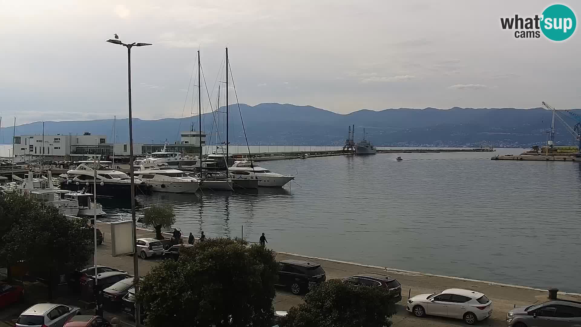 La Riva y Marina en Rijeka – Webcam en vivo Croacia