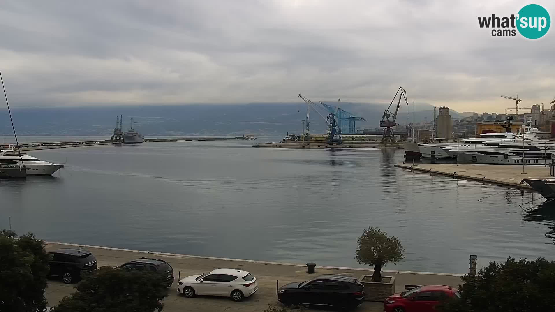 Riva i Marina u Rijeci – Web kamera uživo u Hrvatskoj