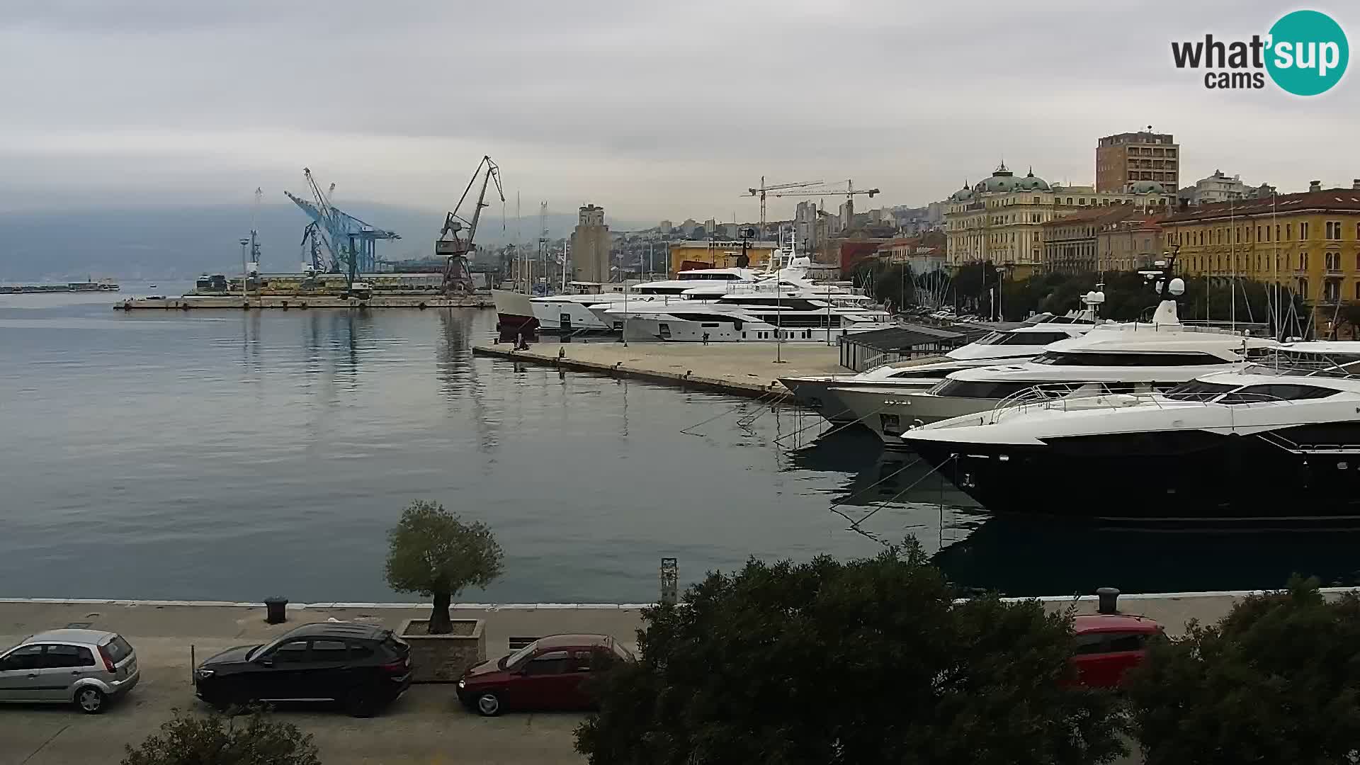 Riva i Marina u Rijeci – Web kamera uživo u Hrvatskoj