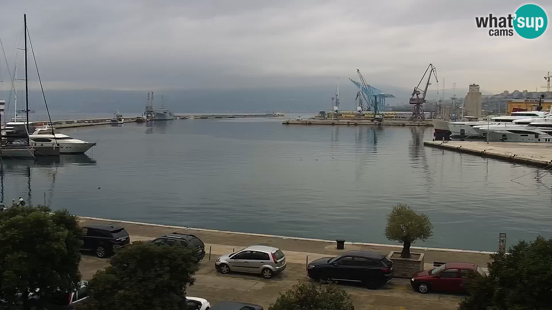 Riva i Marina u Rijeci – Web kamera uživo u Hrvatskoj