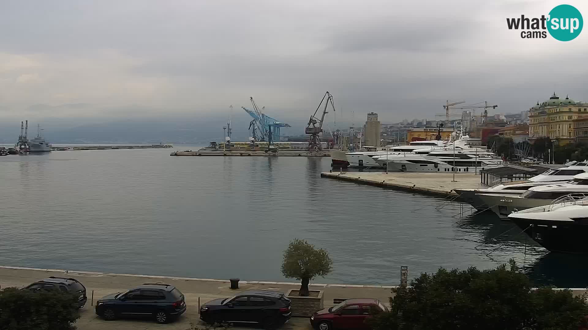 Riva i Marina u Rijeci – Web kamera uživo u Hrvatskoj