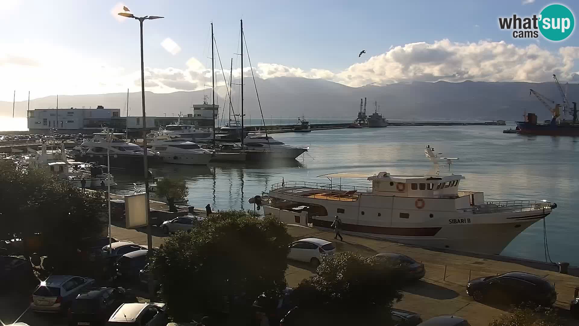 La Riva y Marina en Rijeka – Webcam en vivo Croacia