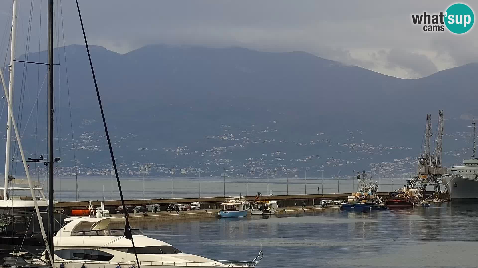 La Riva et Marina à Rijeka – Live Webcam Croatie