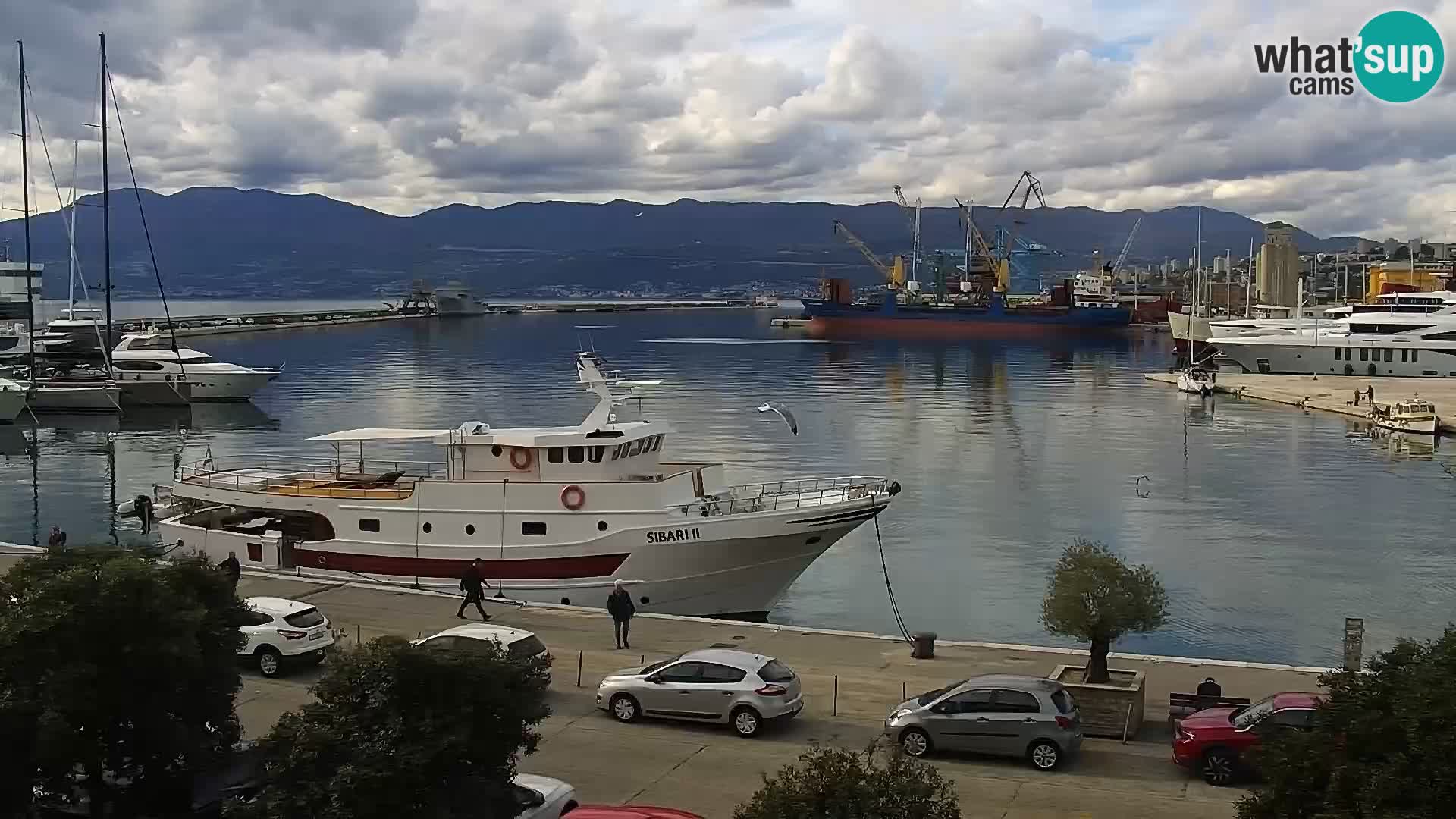 La Riva e la Marina a Rijeka (Fiume) – Live Webcam Croazia