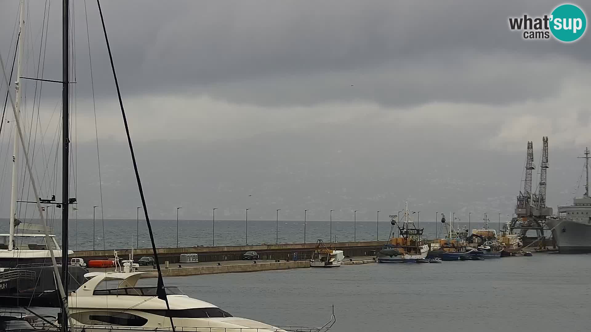 Riva i Marina u Rijeci – Web kamera uživo u Hrvatskoj