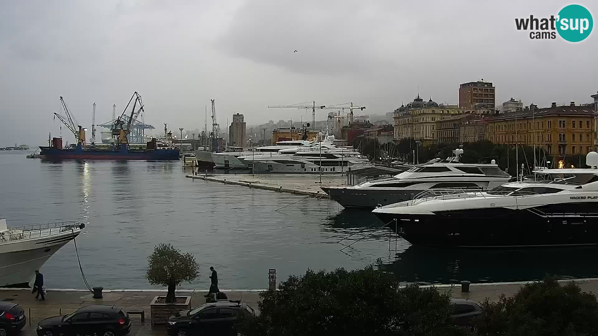 Riva i Marina u Rijeci – Web kamera uživo u Hrvatskoj