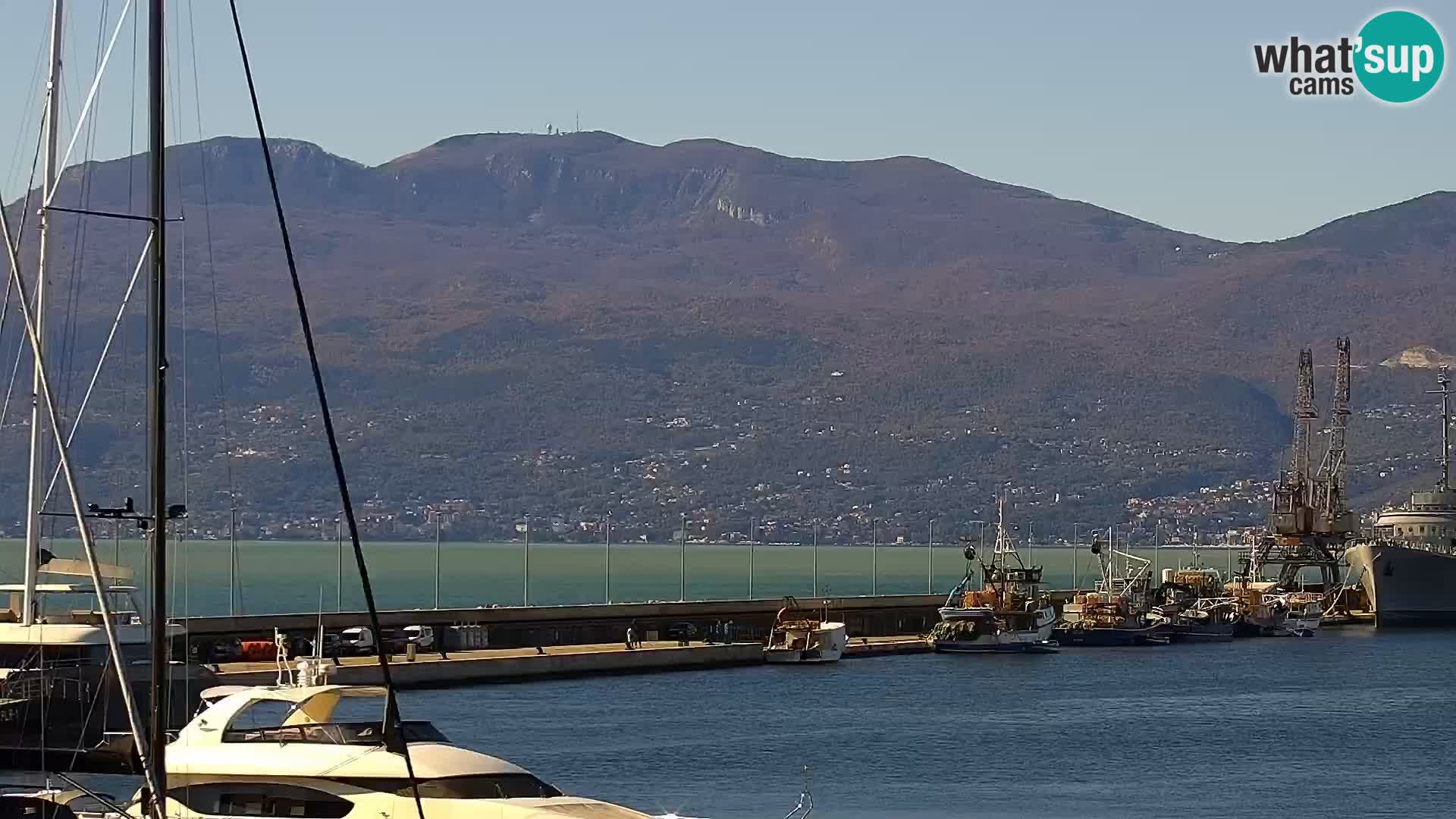 La Riva et Marina à Rijeka – Live Webcam Croatie