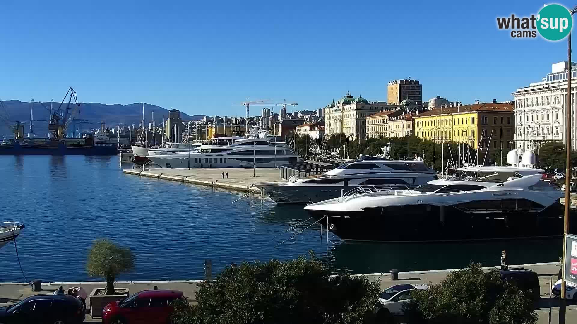 The Riva and Marina in Rijeka  – Live Webcam Croatia
