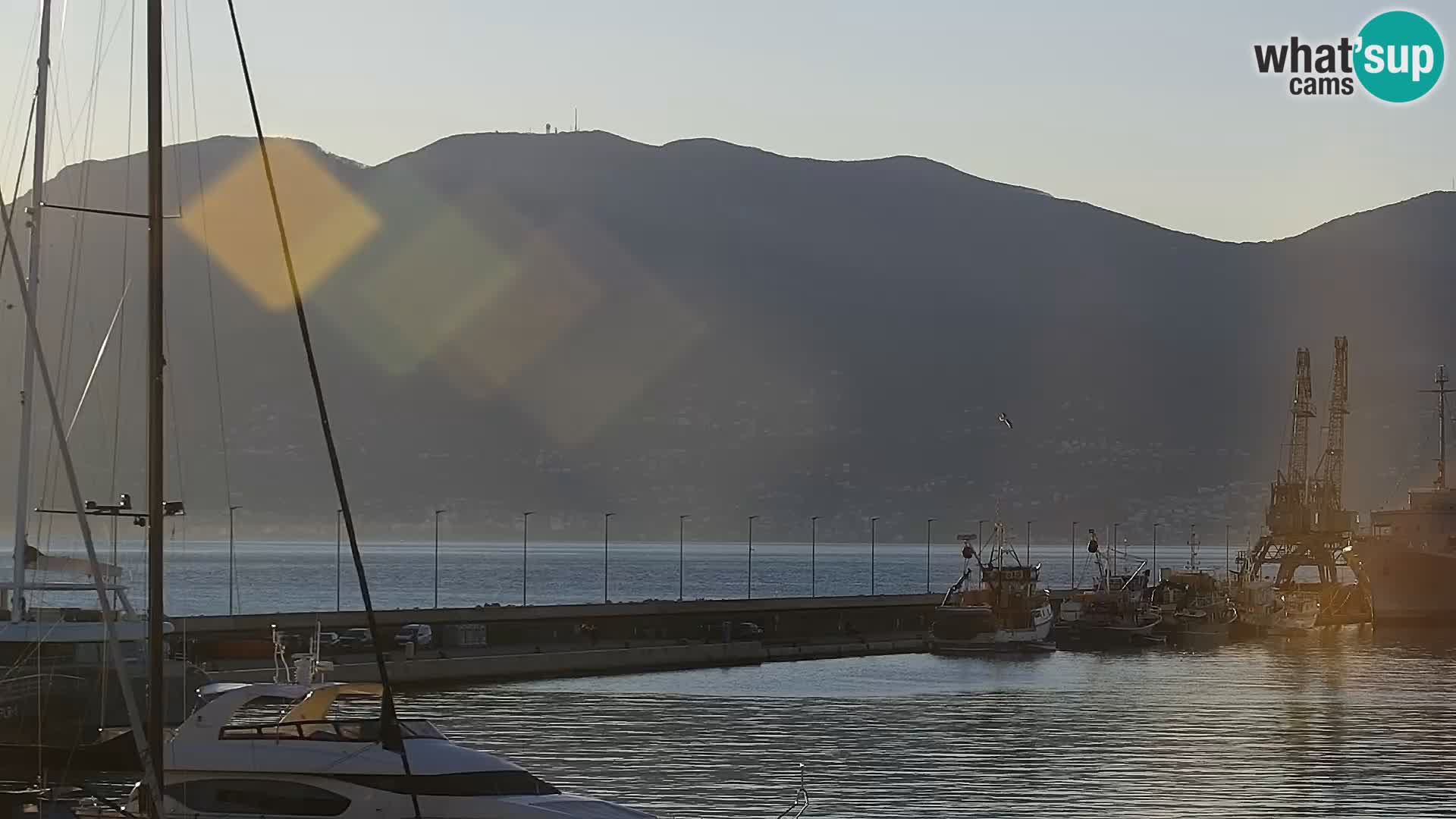 Die Riva und Marina in Rijeka – Live Webcam Kroatien