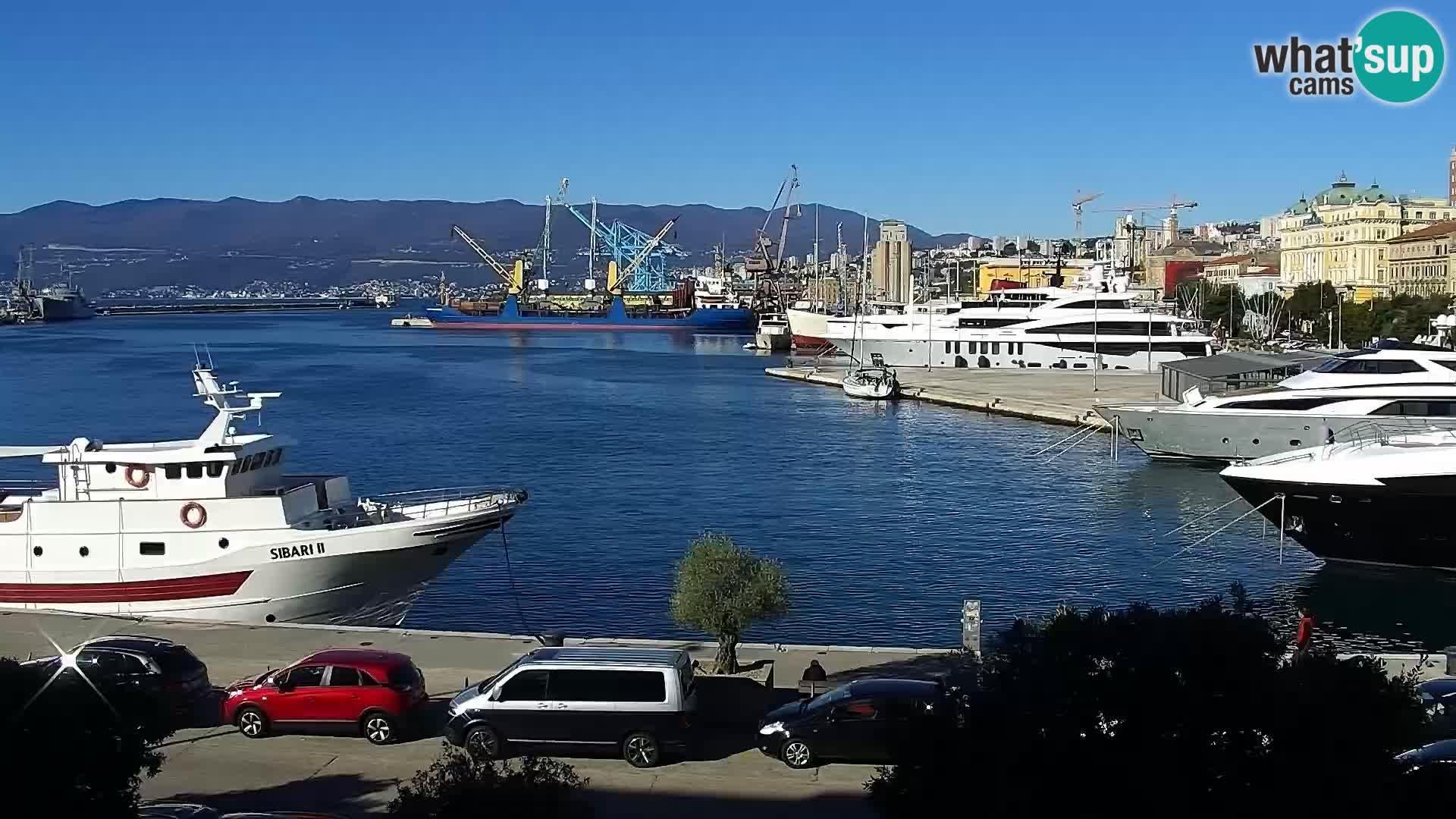 The Riva and Marina in Rijeka  – Live Webcam Croatia