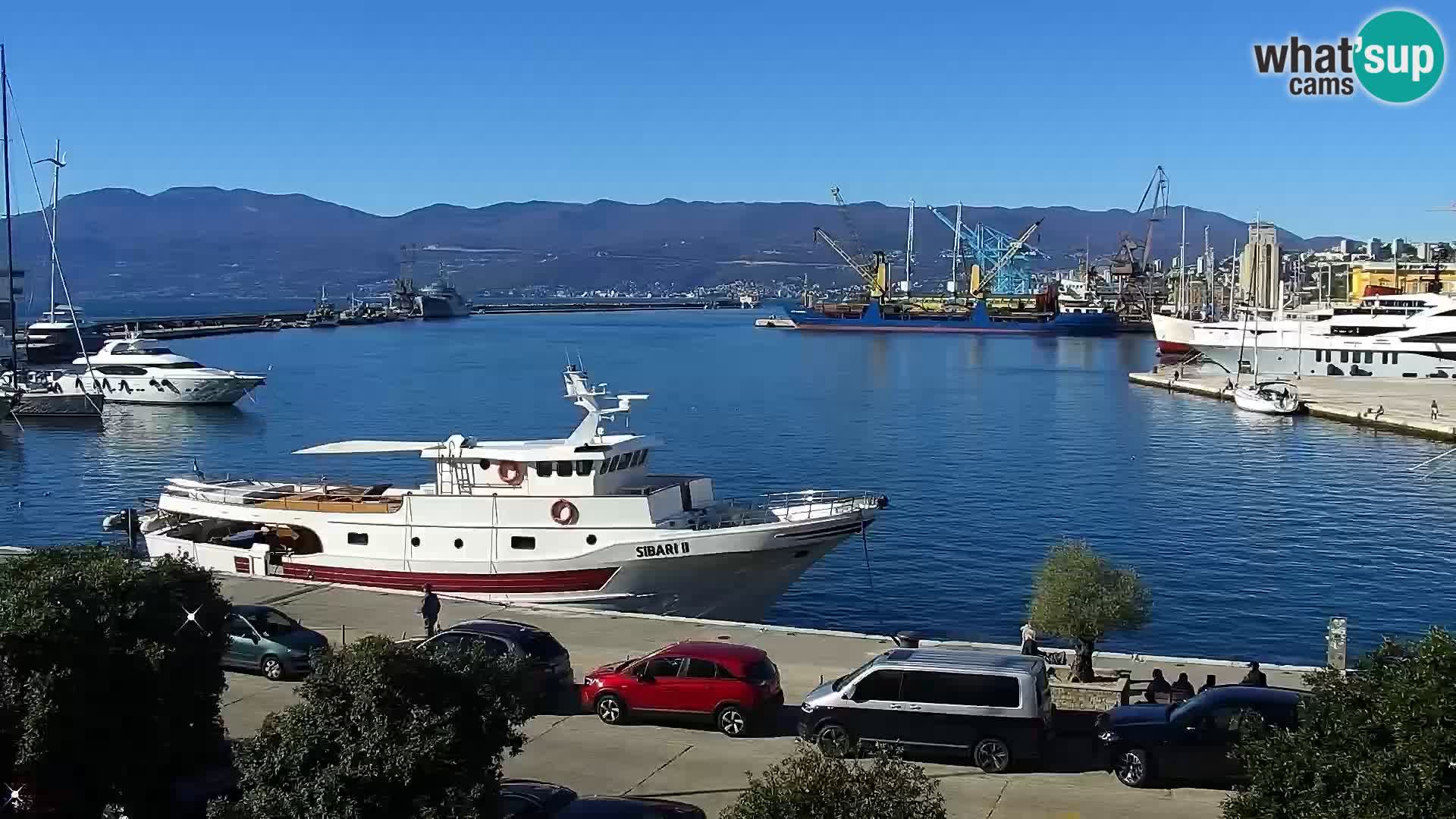 Riva i Marina u Rijeci – Web kamera uživo u Hrvatskoj