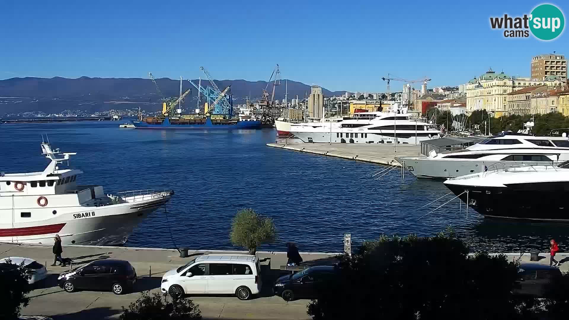 Riva i Marina u Rijeci – Web kamera uživo u Hrvatskoj
