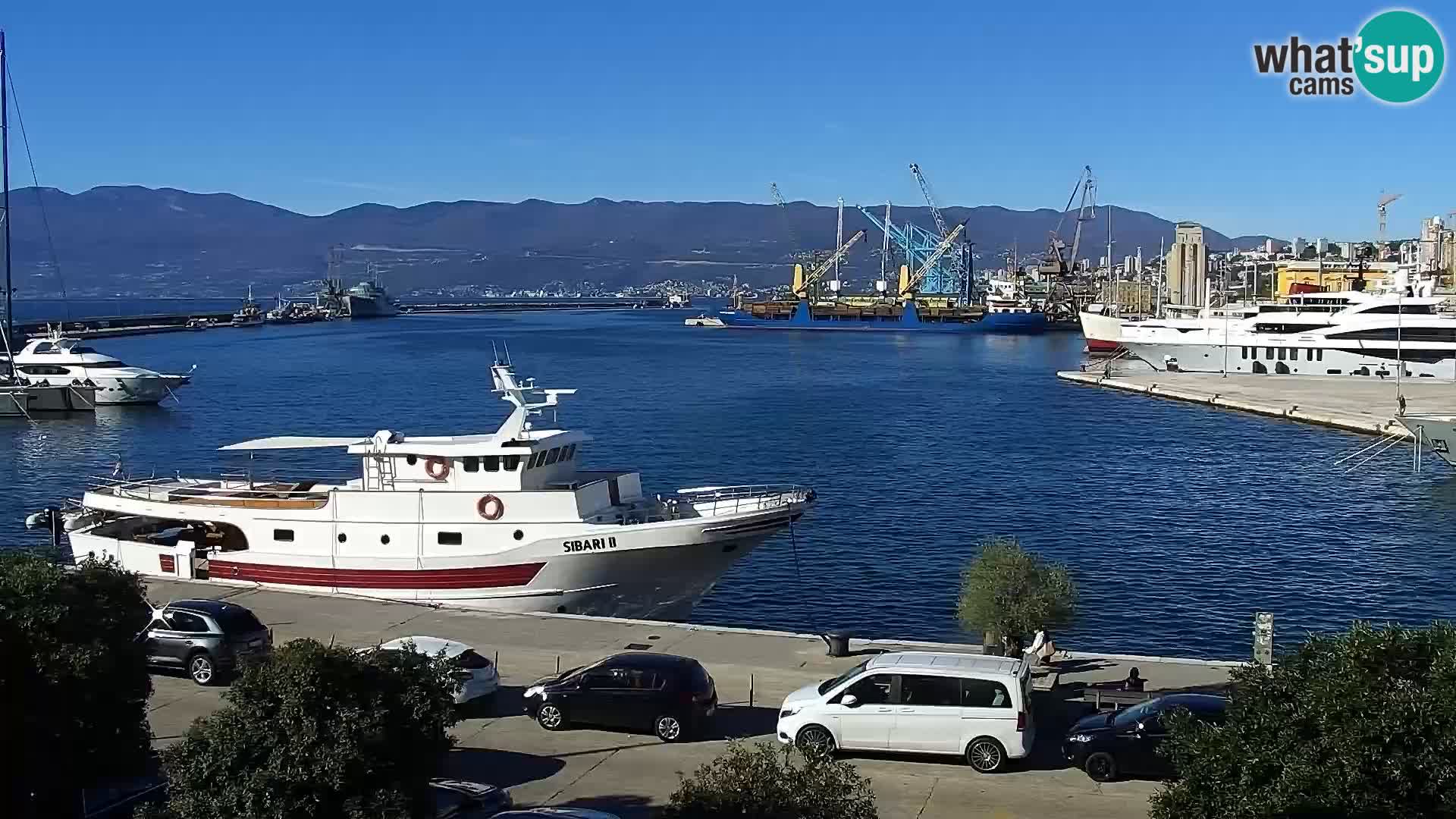 La Riva y Marina en Rijeka – Webcam en vivo Croacia