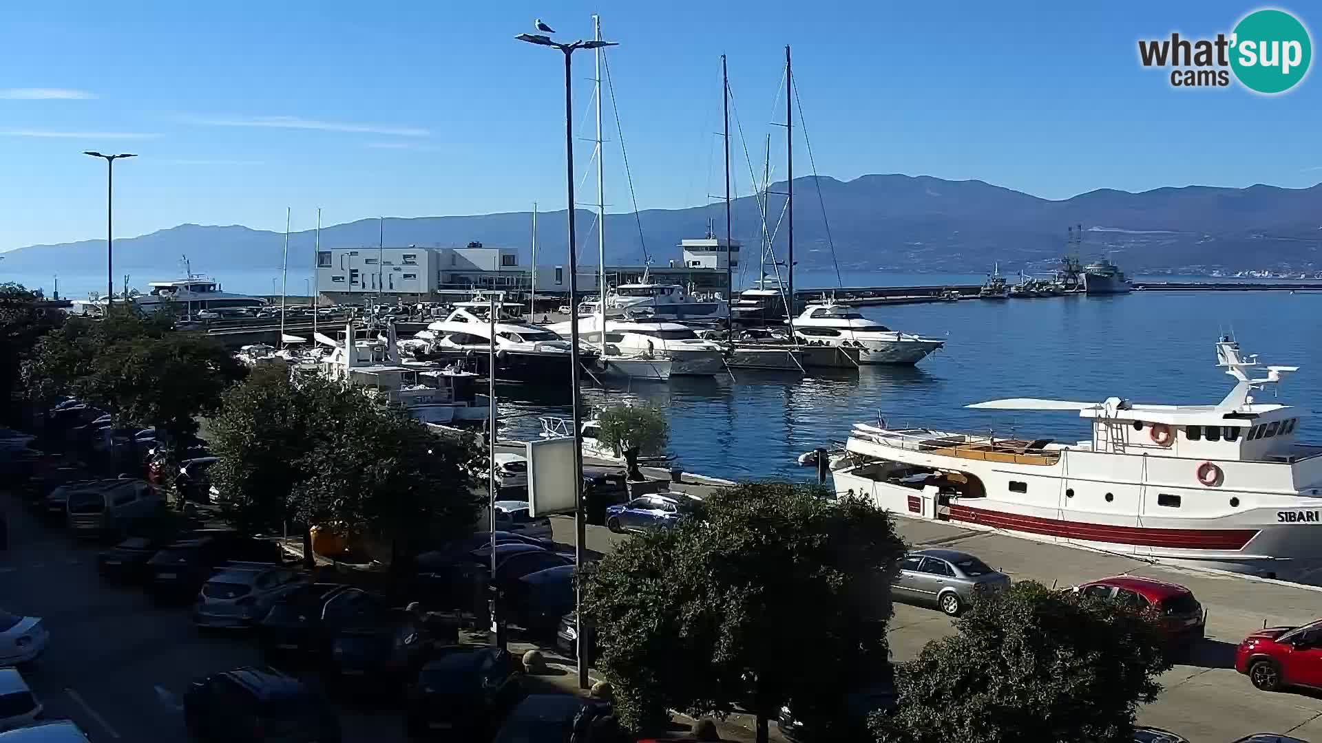 La Riva et Marina à Rijeka – Live Webcam Croatie