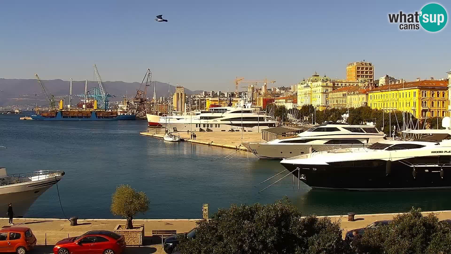 Die Riva und Marina in Rijeka – Live Webcam Kroatien