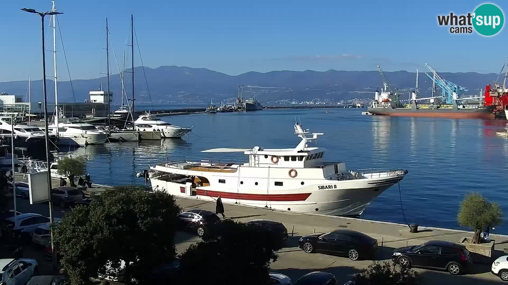 Die Riva und Marina in Rijeka – Live Webcam Kroatien