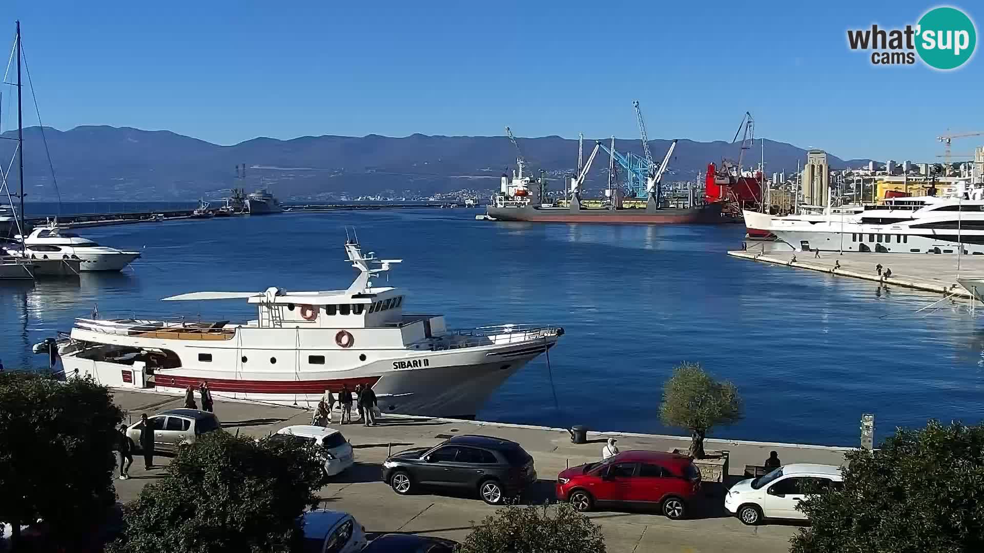 La Riva y Marina en Rijeka – Webcam en vivo Croacia
