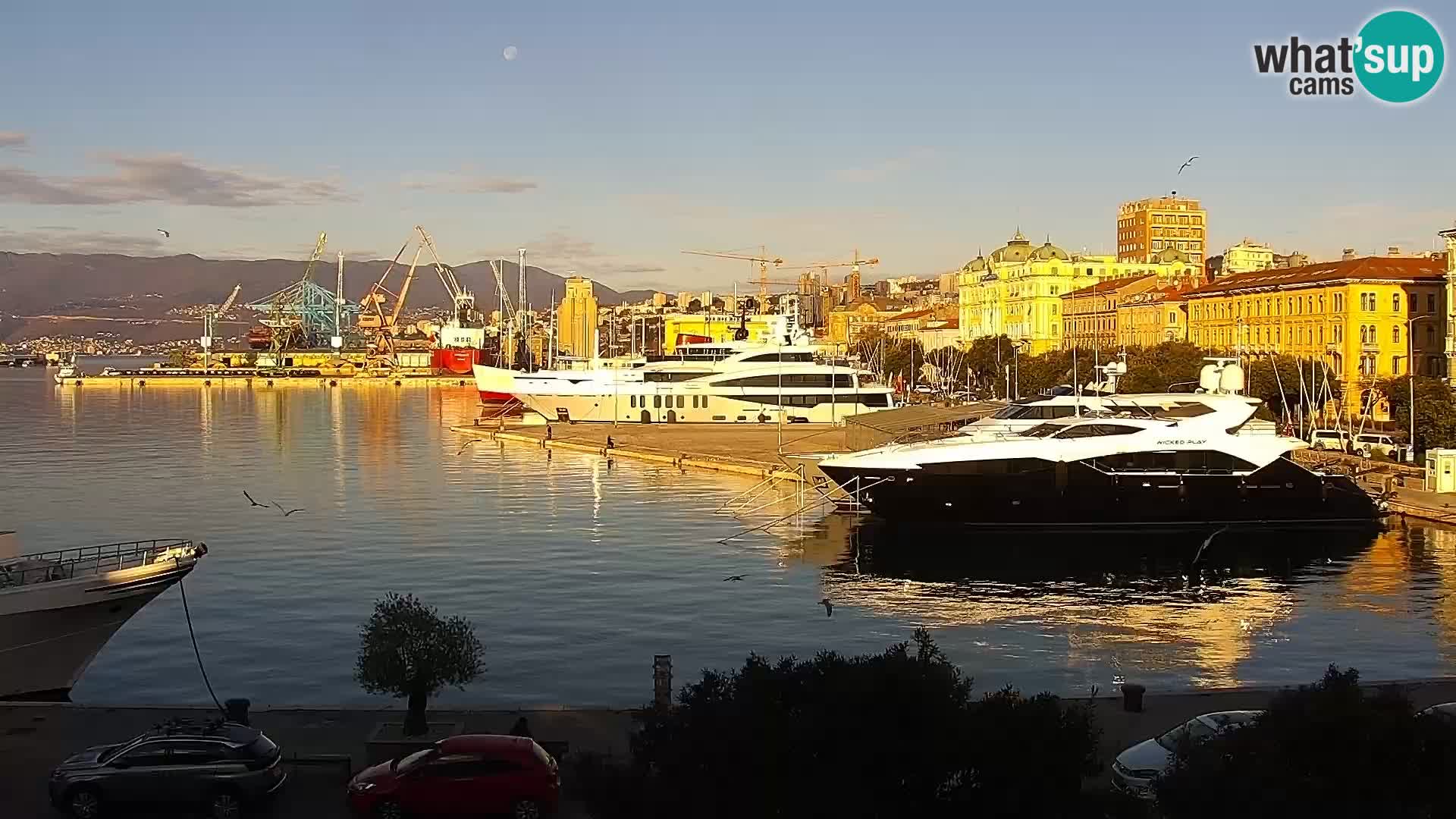 La Riva et Marina à Rijeka – Live Webcam Croatie