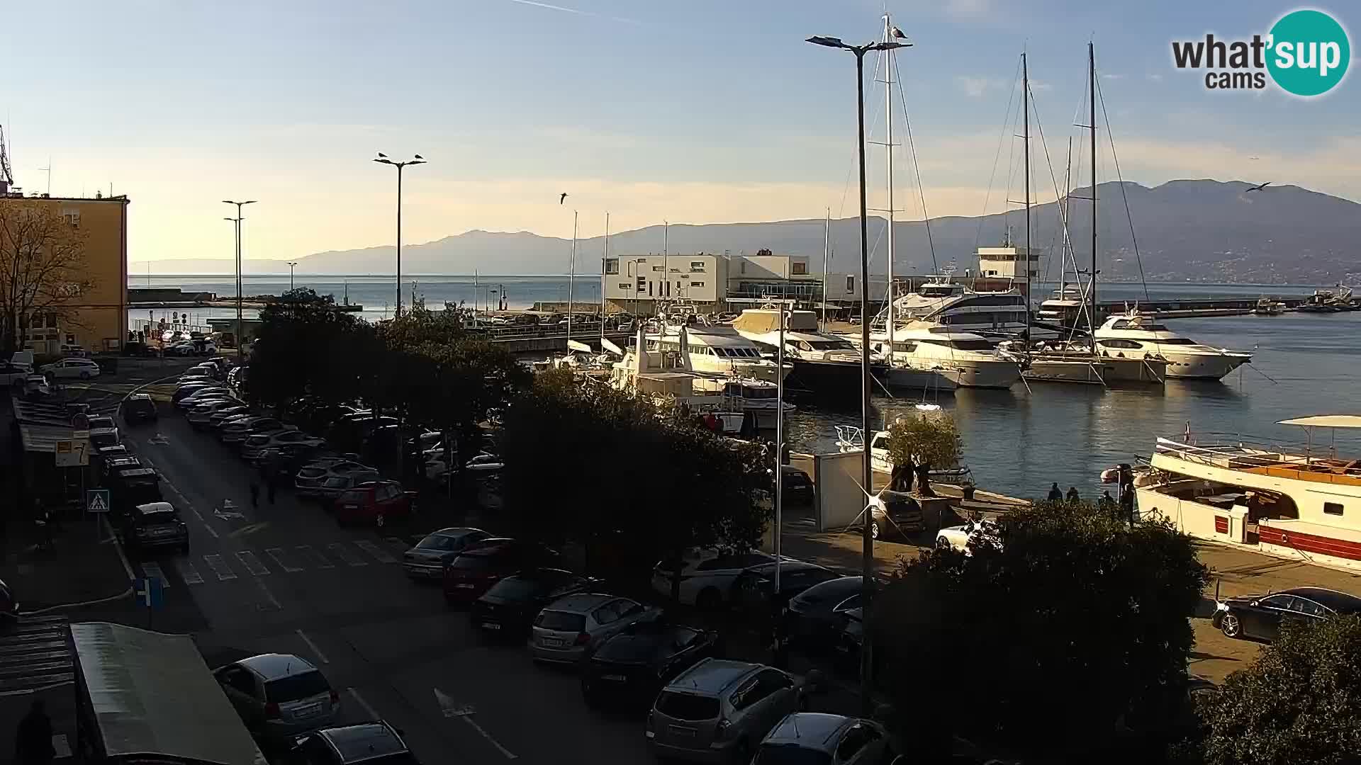 Die Riva und Marina in Rijeka – Live Webcam Kroatien