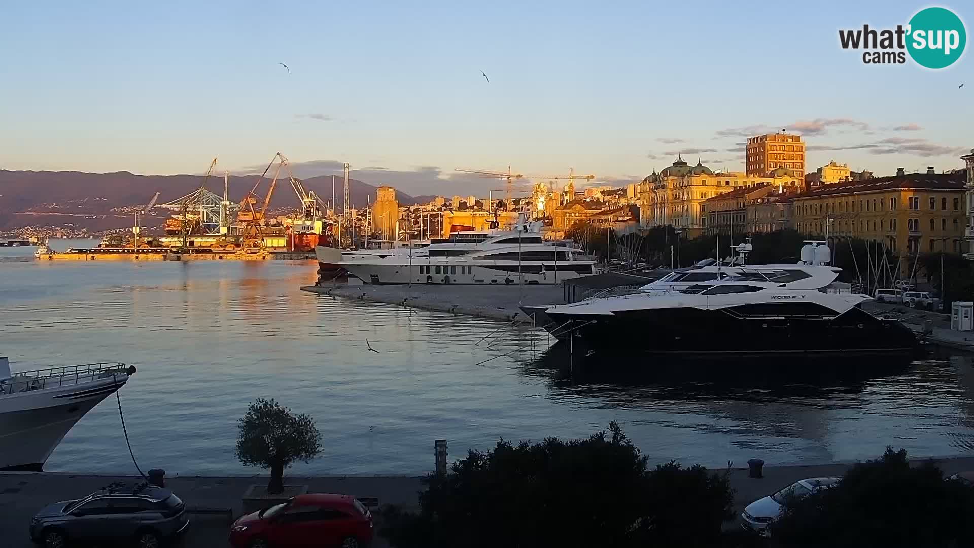 Riva in Marina v Reki – Spletna kamera v živo Hrvaška