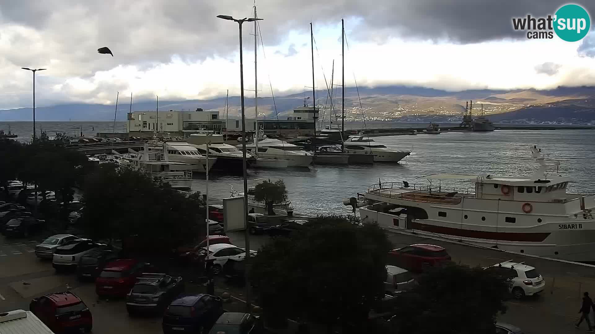 La Riva e la Marina a Rijeka (Fiume) – Live Webcam Croazia