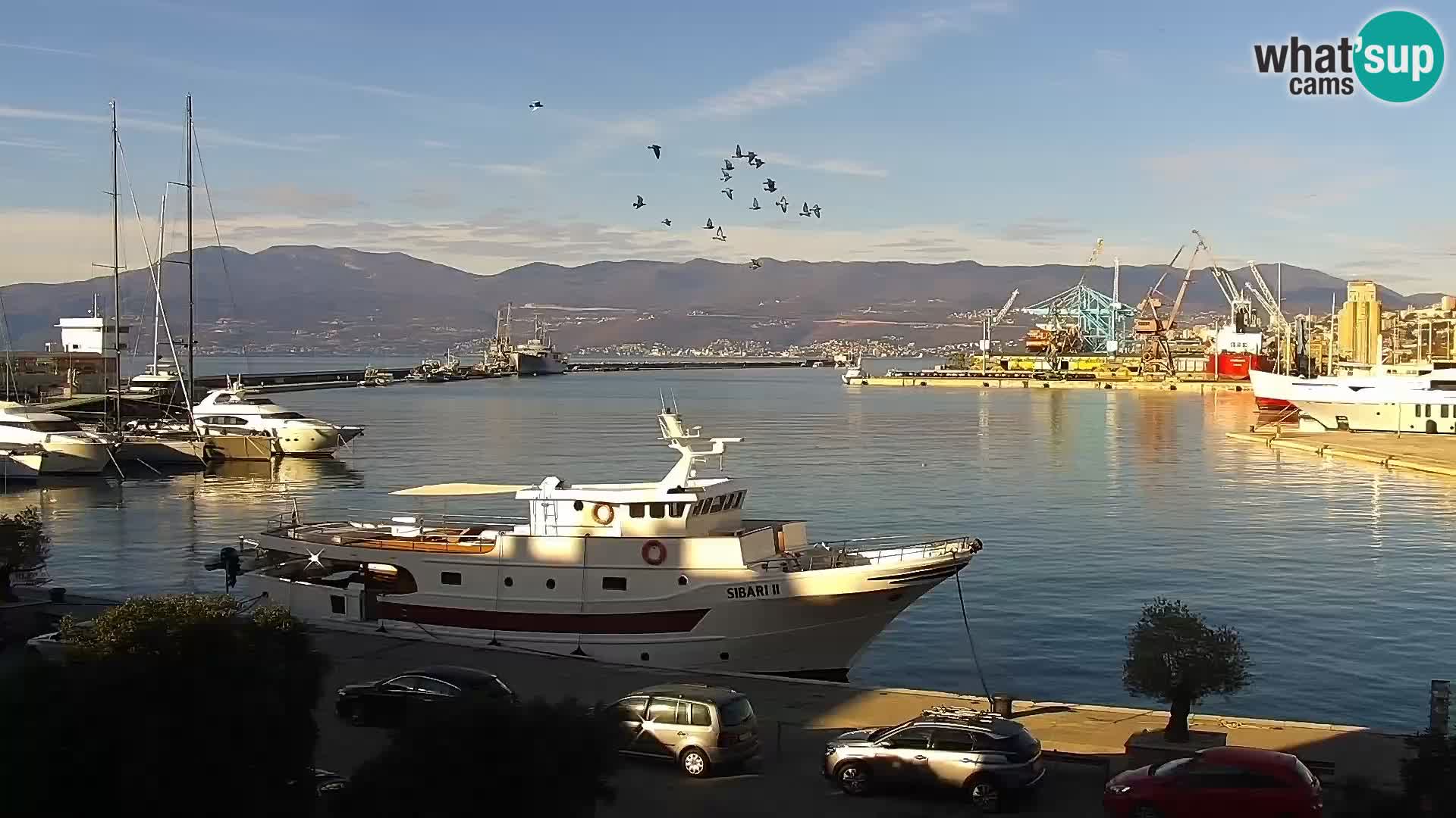 Riva in Marina v Reki – Spletna kamera v živo Hrvaška