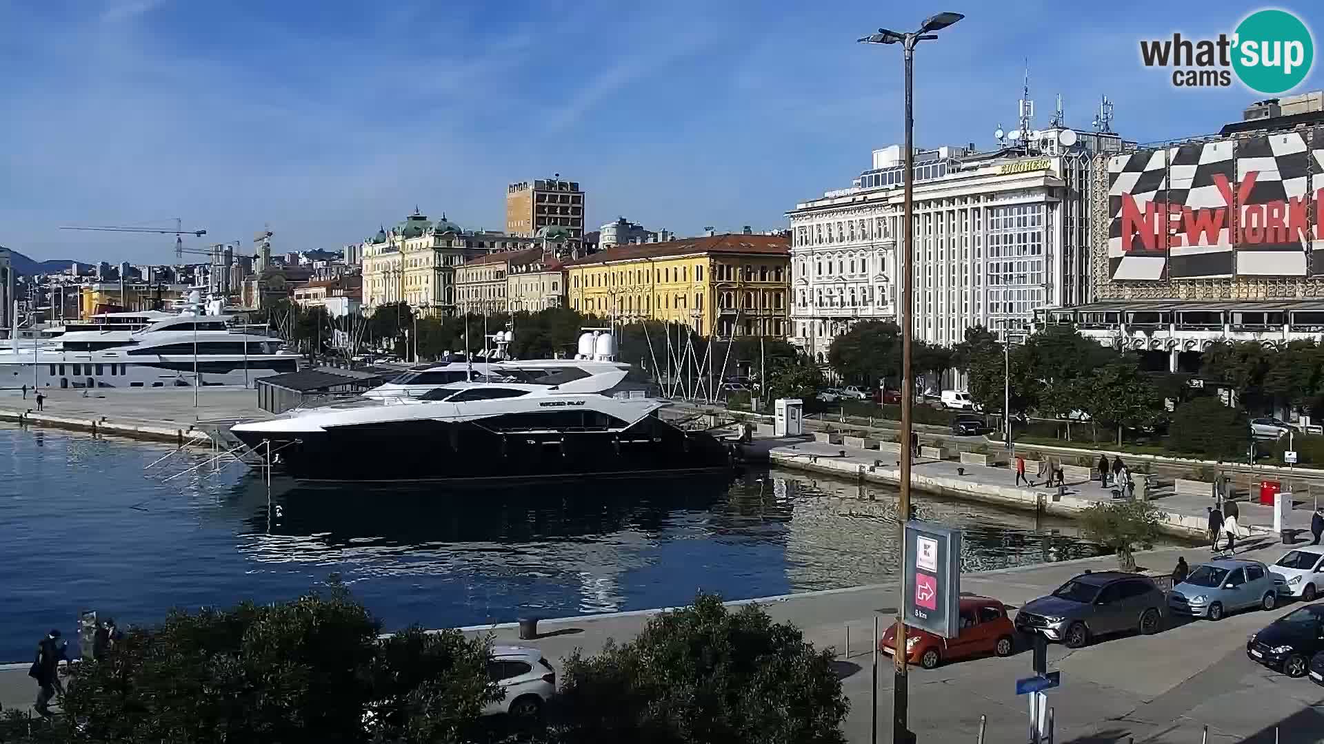 Riva i Marina u Rijeci – Web kamera uživo u Hrvatskoj