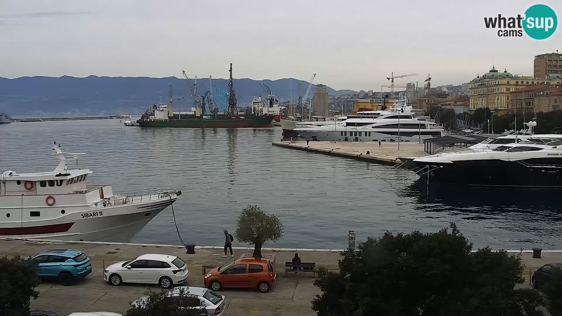 La Riva et Marina à Rijeka – Live Webcam Croatie
