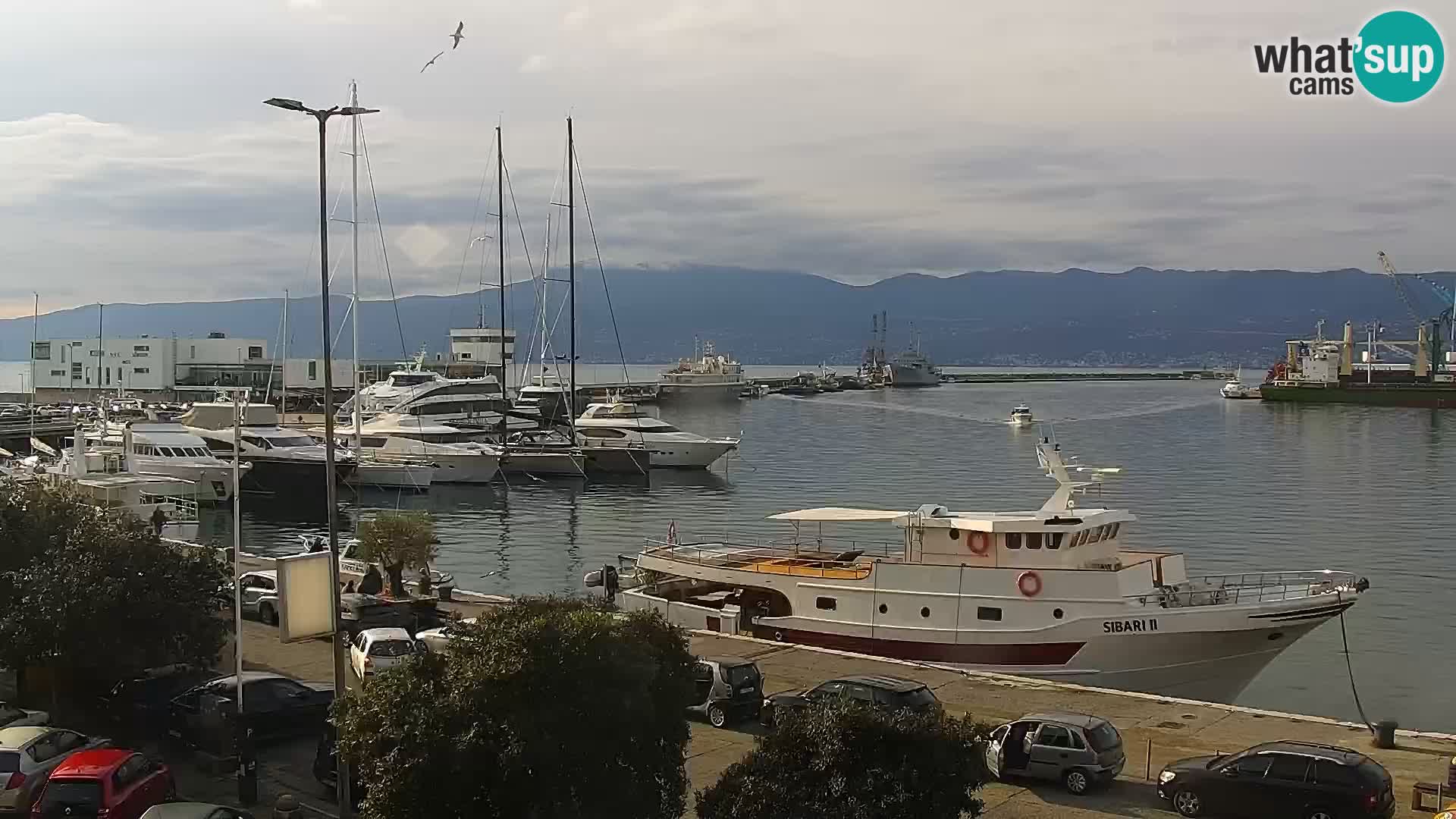 Riva i Marina u Rijeci – Web kamera uživo u Hrvatskoj