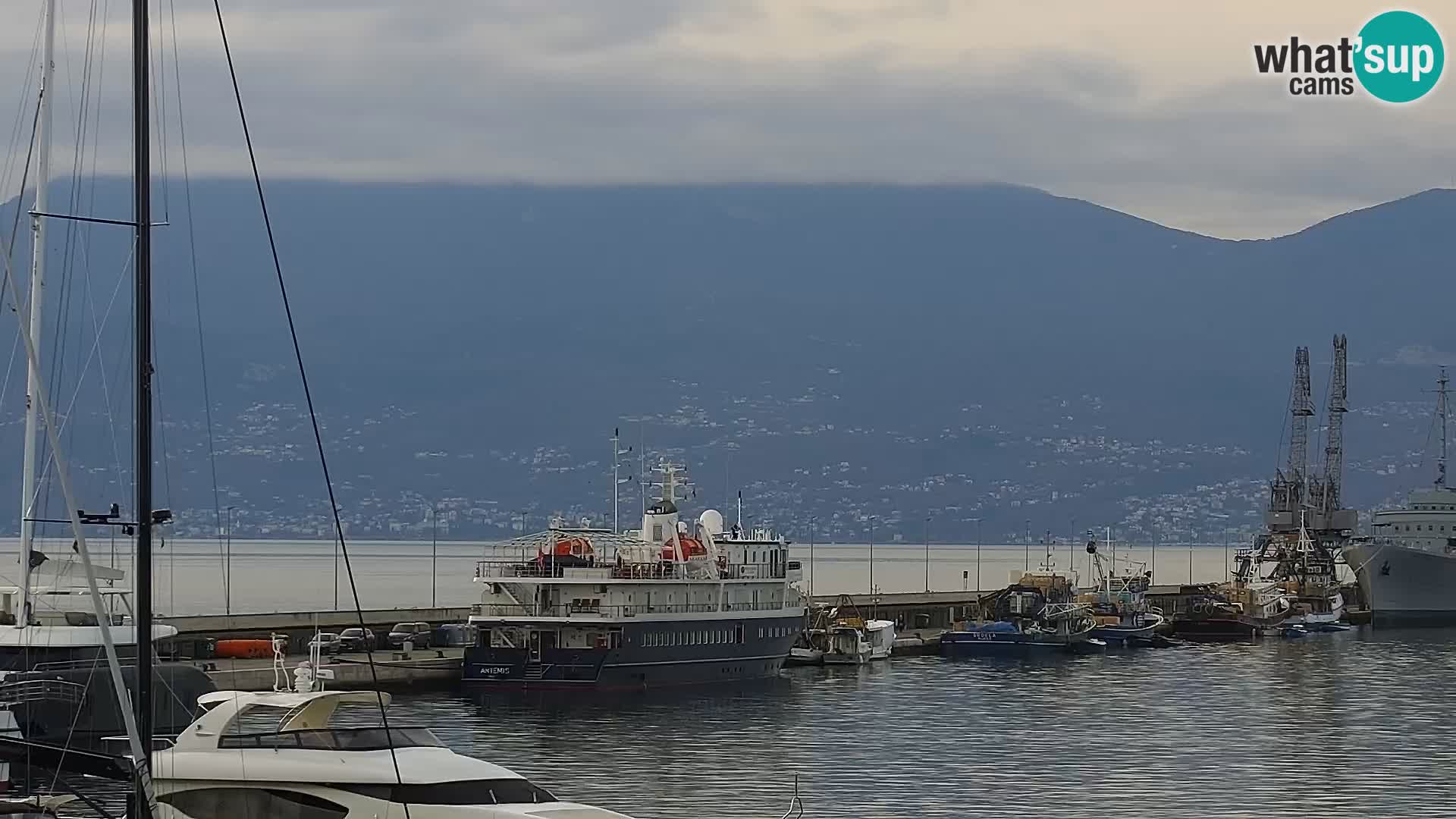 La Riva et Marina à Rijeka – Live Webcam Croatie
