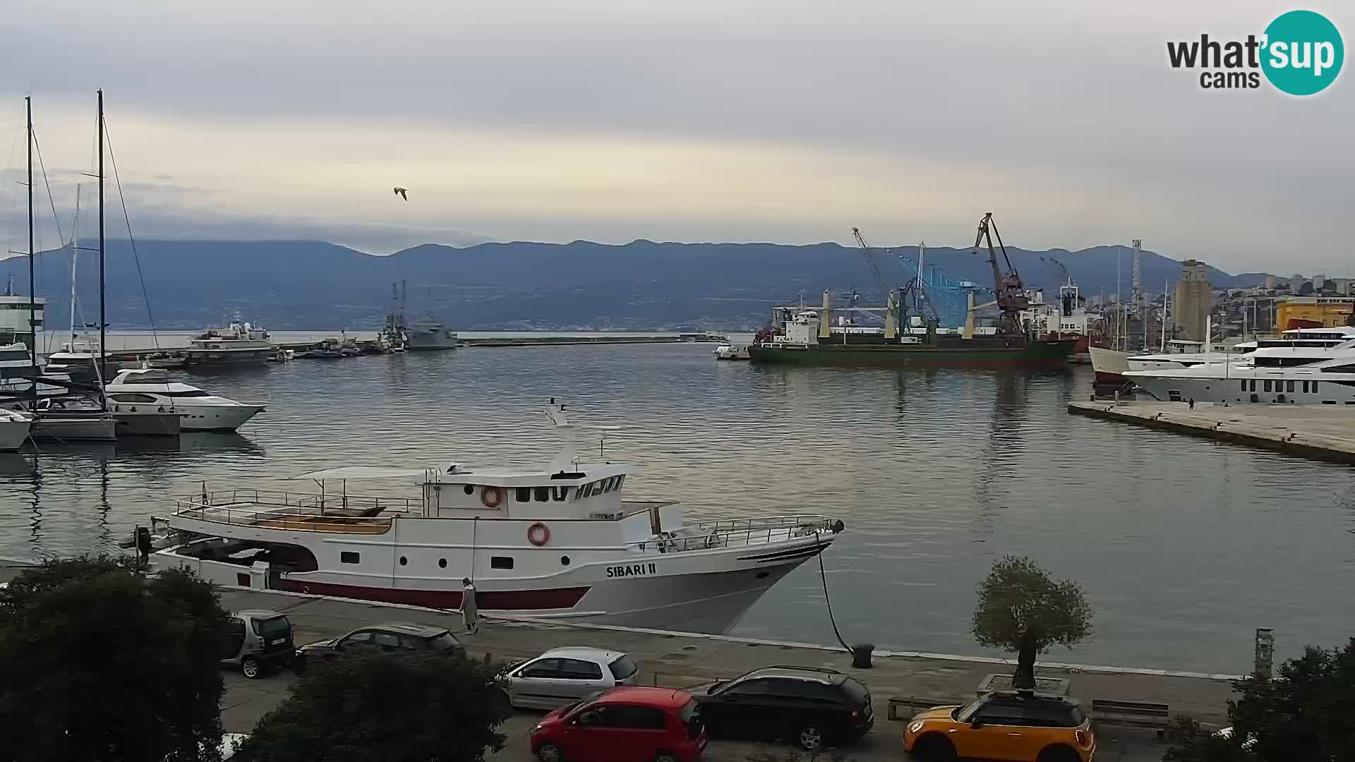 La Riva et Marina à Rijeka – Live Webcam Croatie