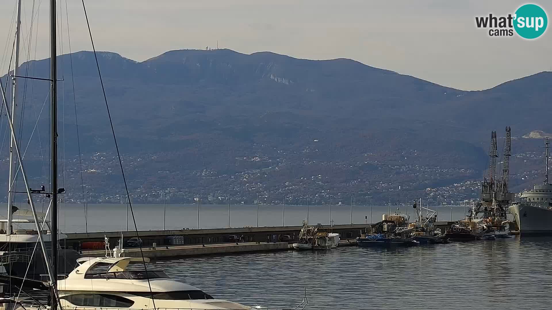 Riva in Marina v Reki – Spletna kamera v živo Hrvaška