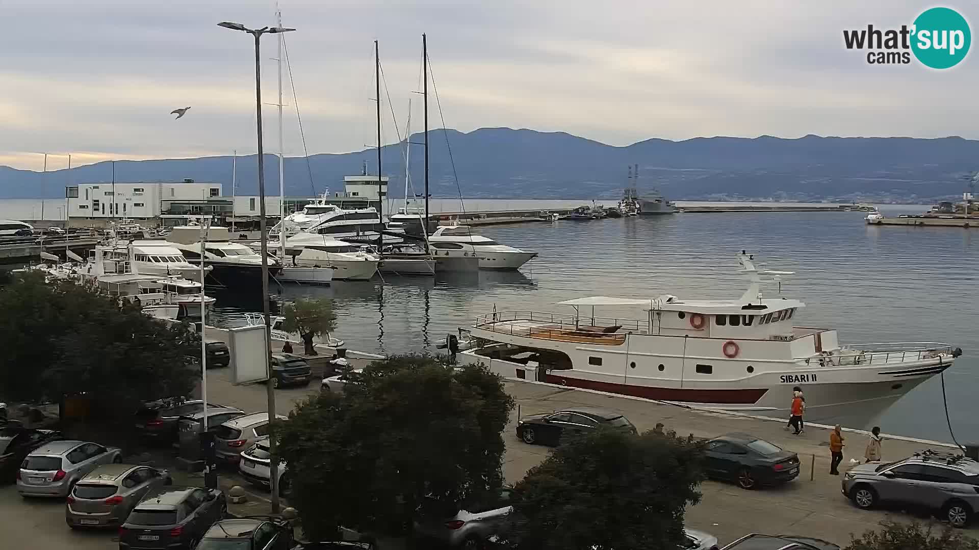 La Riva et Marina à Rijeka – Live Webcam Croatie