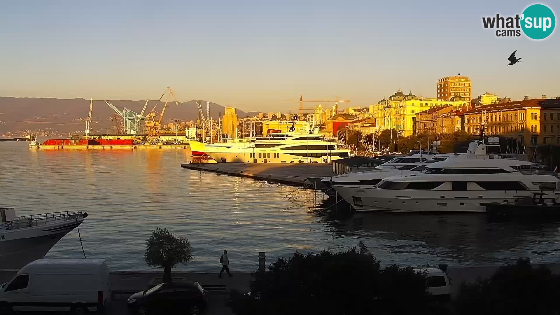 La Riva e la Marina a Rijeka (Fiume) – Live Webcam Croazia
