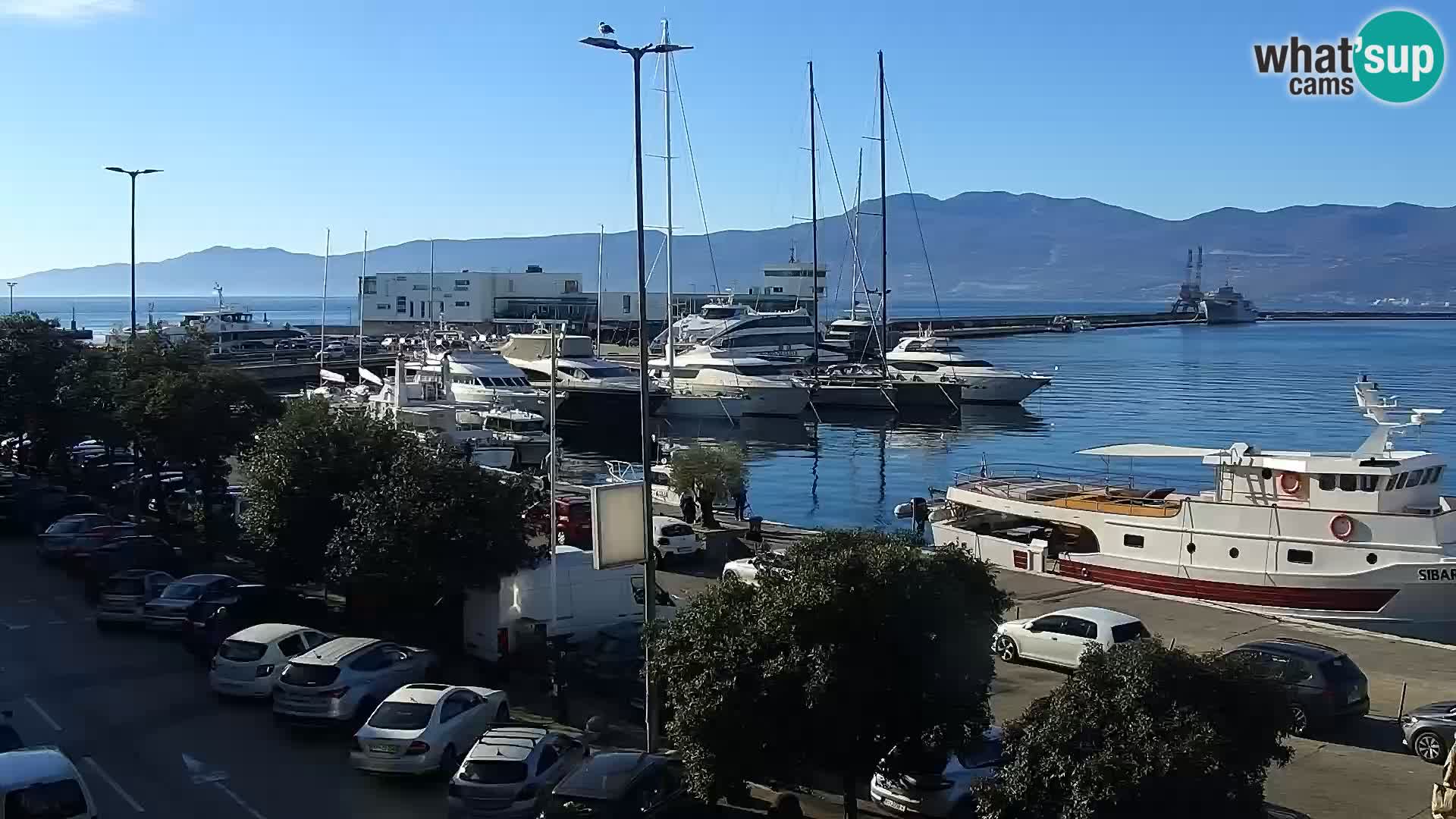 Riva in Marina v Reki – Spletna kamera v živo Hrvaška