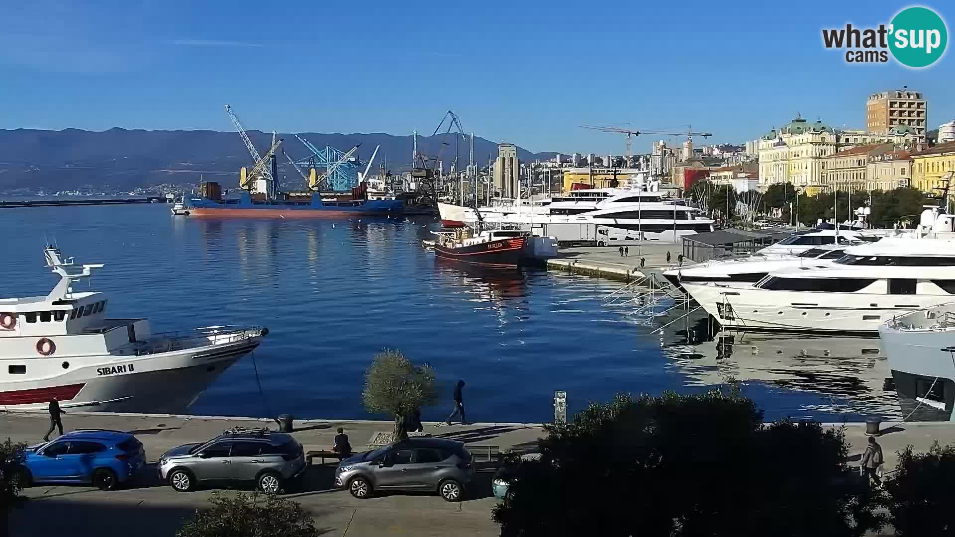 The Riva and Marina in Rijeka  – Live Webcam Croatia
