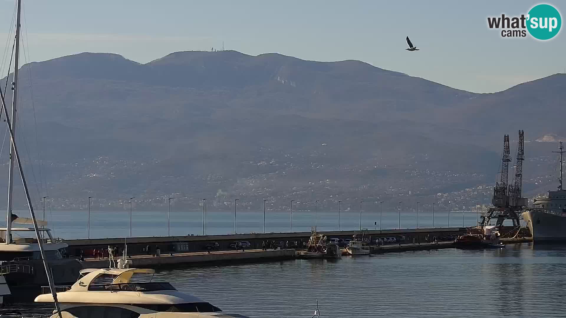 La Riva et Marina à Rijeka – Live Webcam Croatie