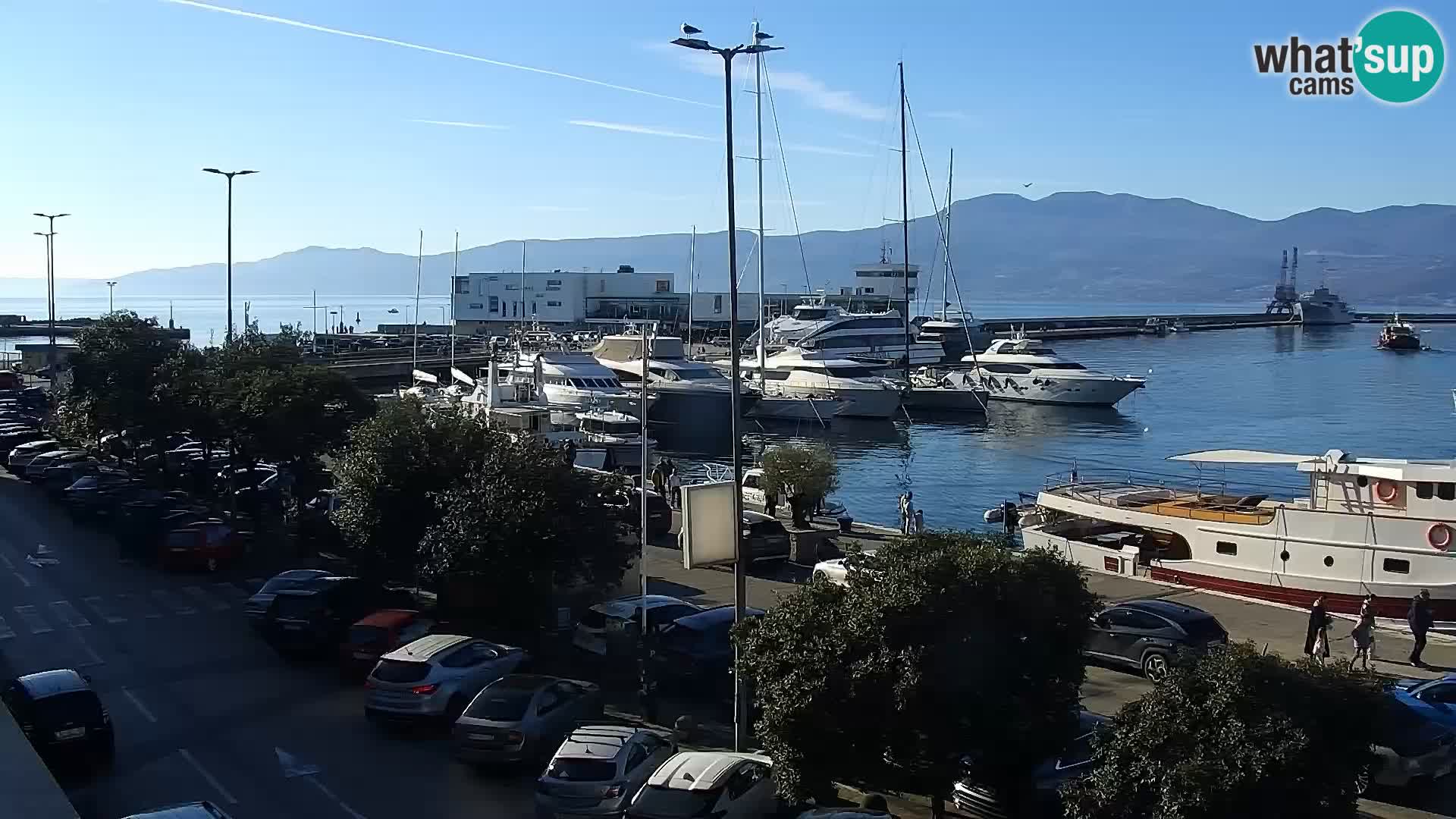 The Riva and Marina in Rijeka  – Live Webcam Croatia