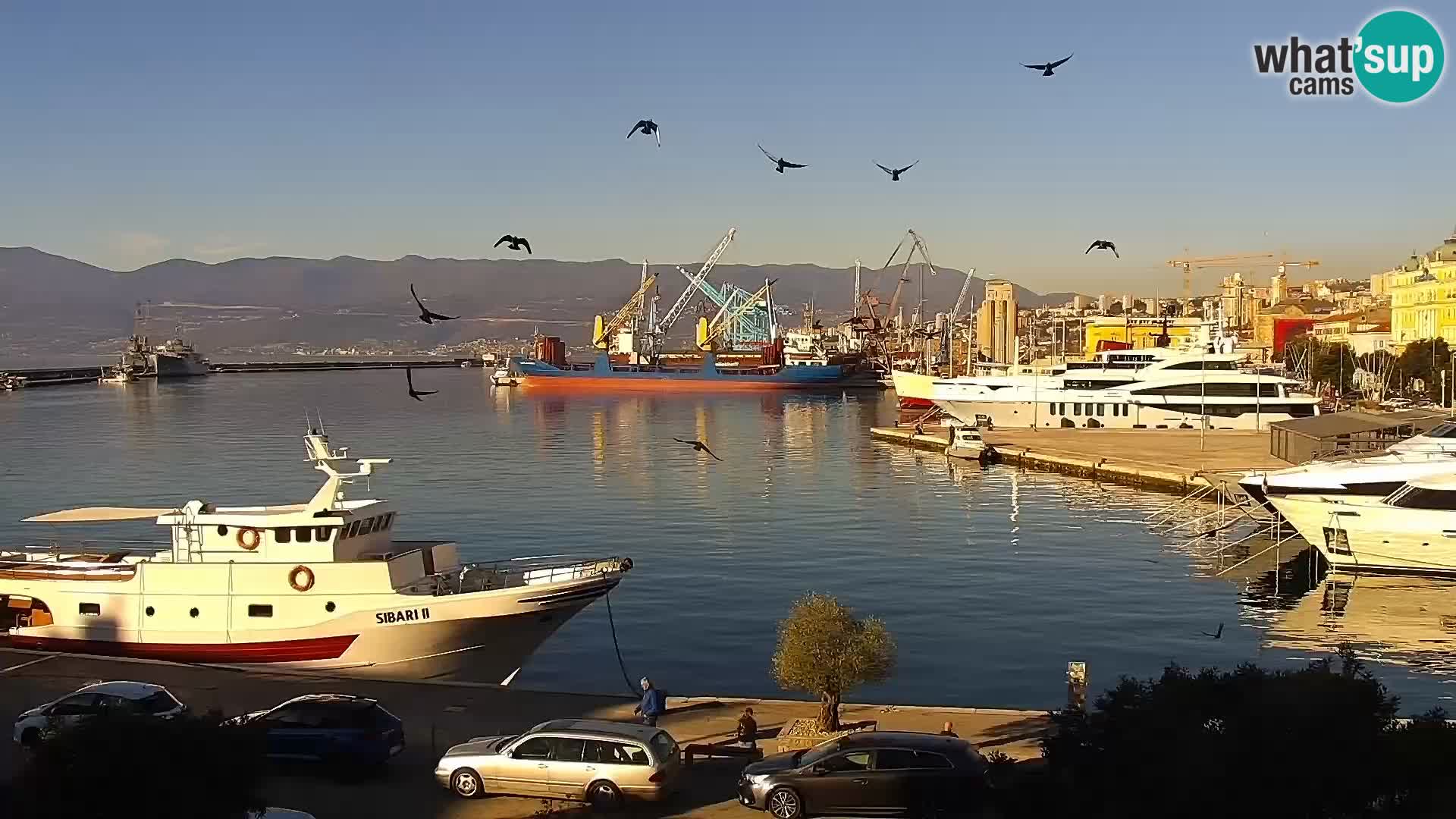 Riva in Marina v Reki – Spletna kamera v živo Hrvaška